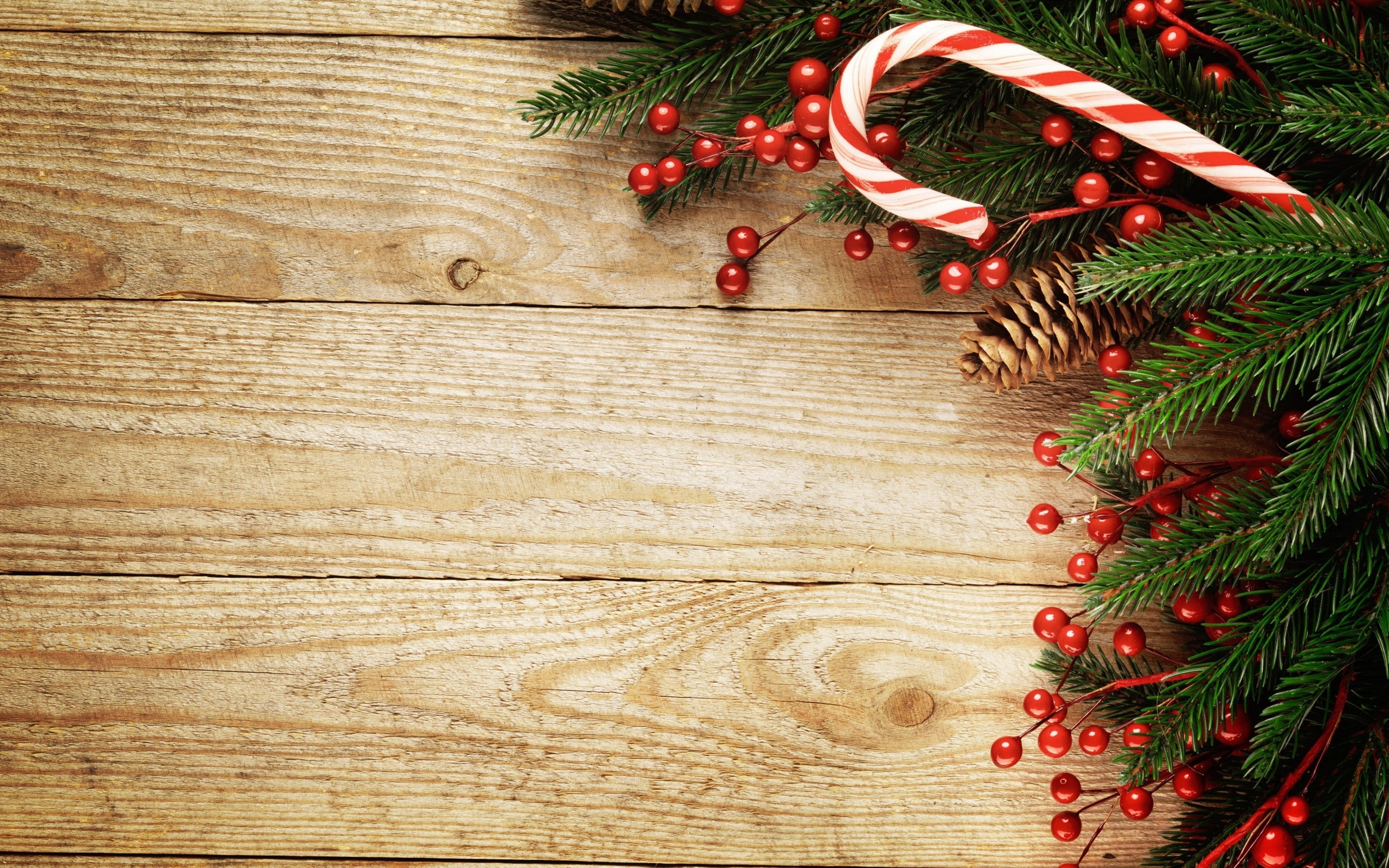 sprig, pine, 2K, christmas 2014, 2014 christmas, christmas ornaments, christmas decoration, cone, HD Wallpaper