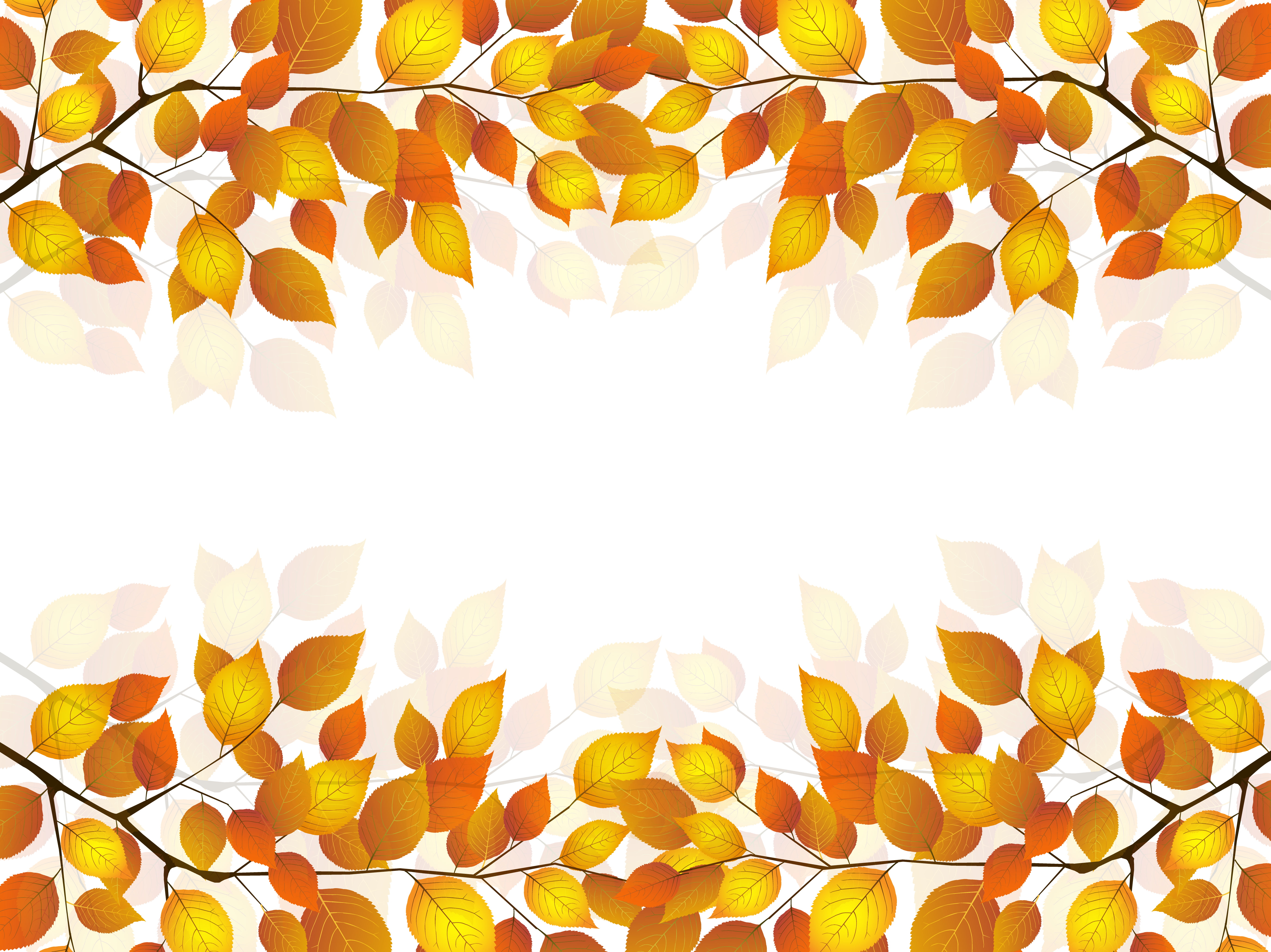 nature, still life, yellow, studio shot, geometric shape, sprig, backgrounds, floral pattern, full frame, white background, design, ornate, decoration, HD Wallpaper