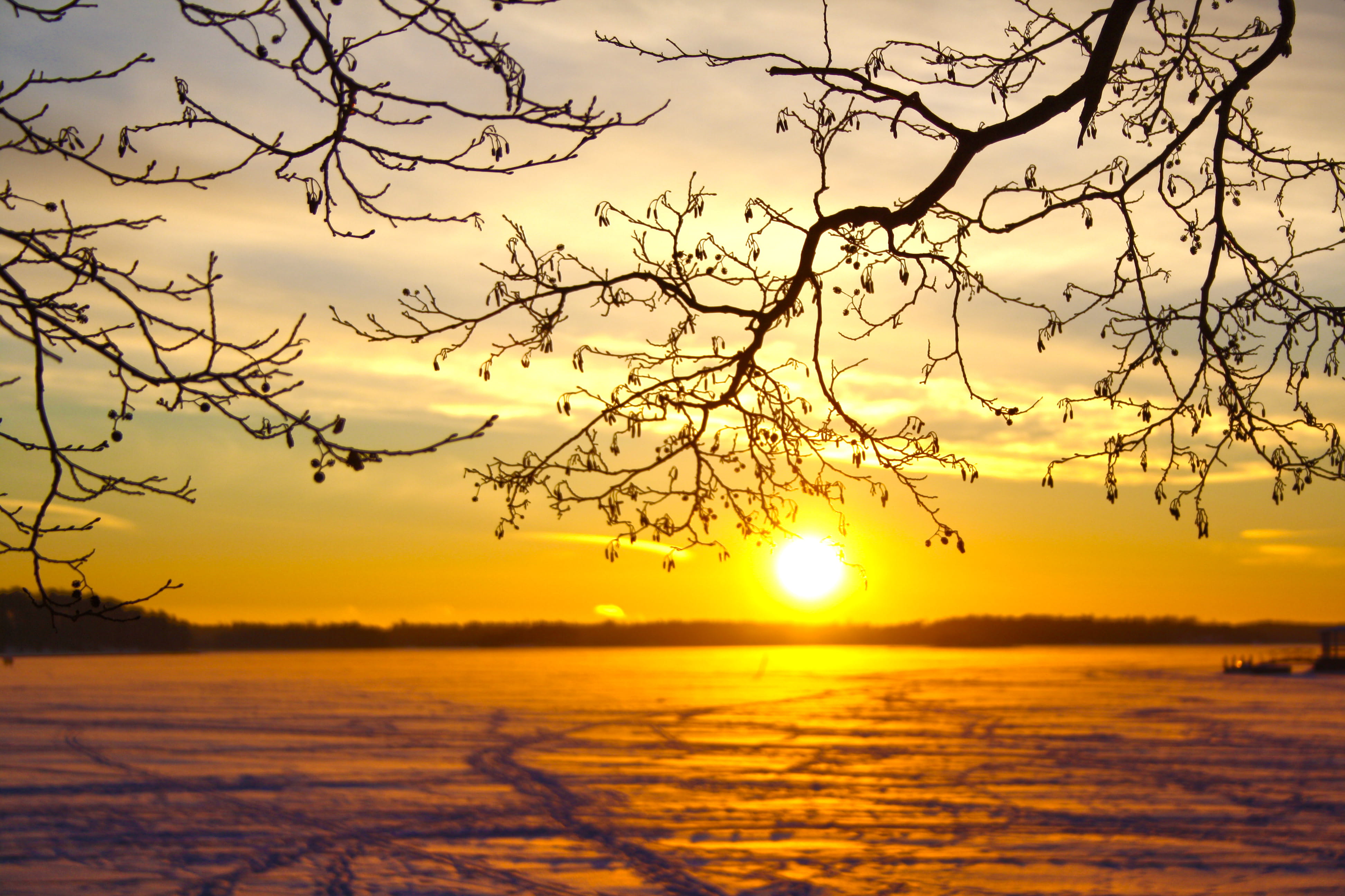 tree, beauty in nature, sky, non-urban scene, frozen, yellow, tranquility, silhouette, idyllic, orange color, sun, water, branch, finnish, outdoors, nature, HD Wallpaper