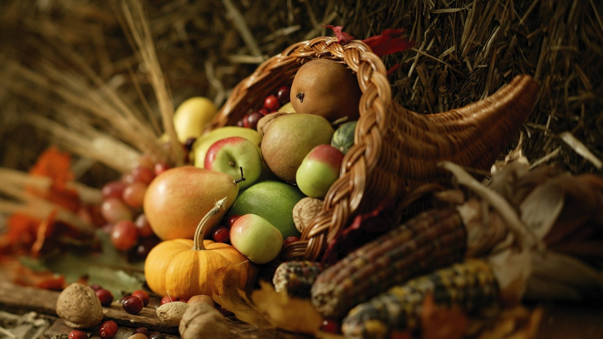 wheat, 1080P, pumpkin, corn, food, Cornucopia, apples, HD Wallpaper