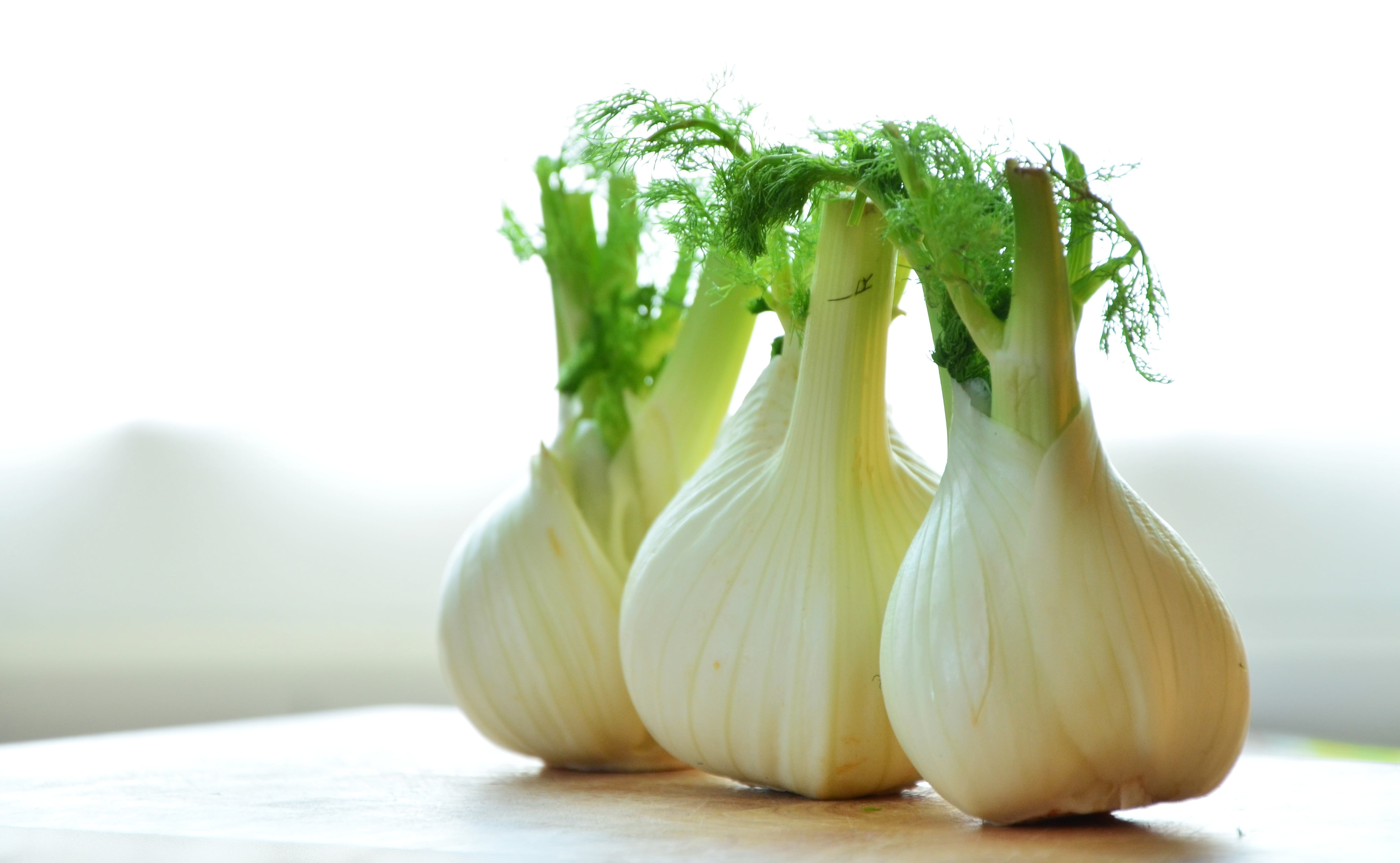 close-up, nature, still life, healthy, wellbeing, vegetables, eat, herb, vegetable, onion, 4K, vitamins, spice, green color, fennel vegetable, raw Food, HD Wallpaper
