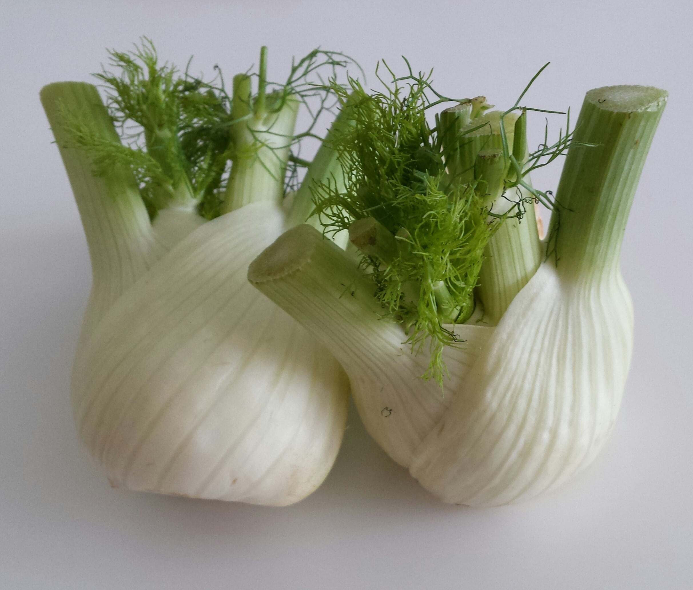 garlic, spring, spice, wellbeing, healthy Eating, seasoning, food, healthy, two, leaf, fennel, green, studio shot, white, frisch, indoors, vitamins, tuber, HD Wallpaper