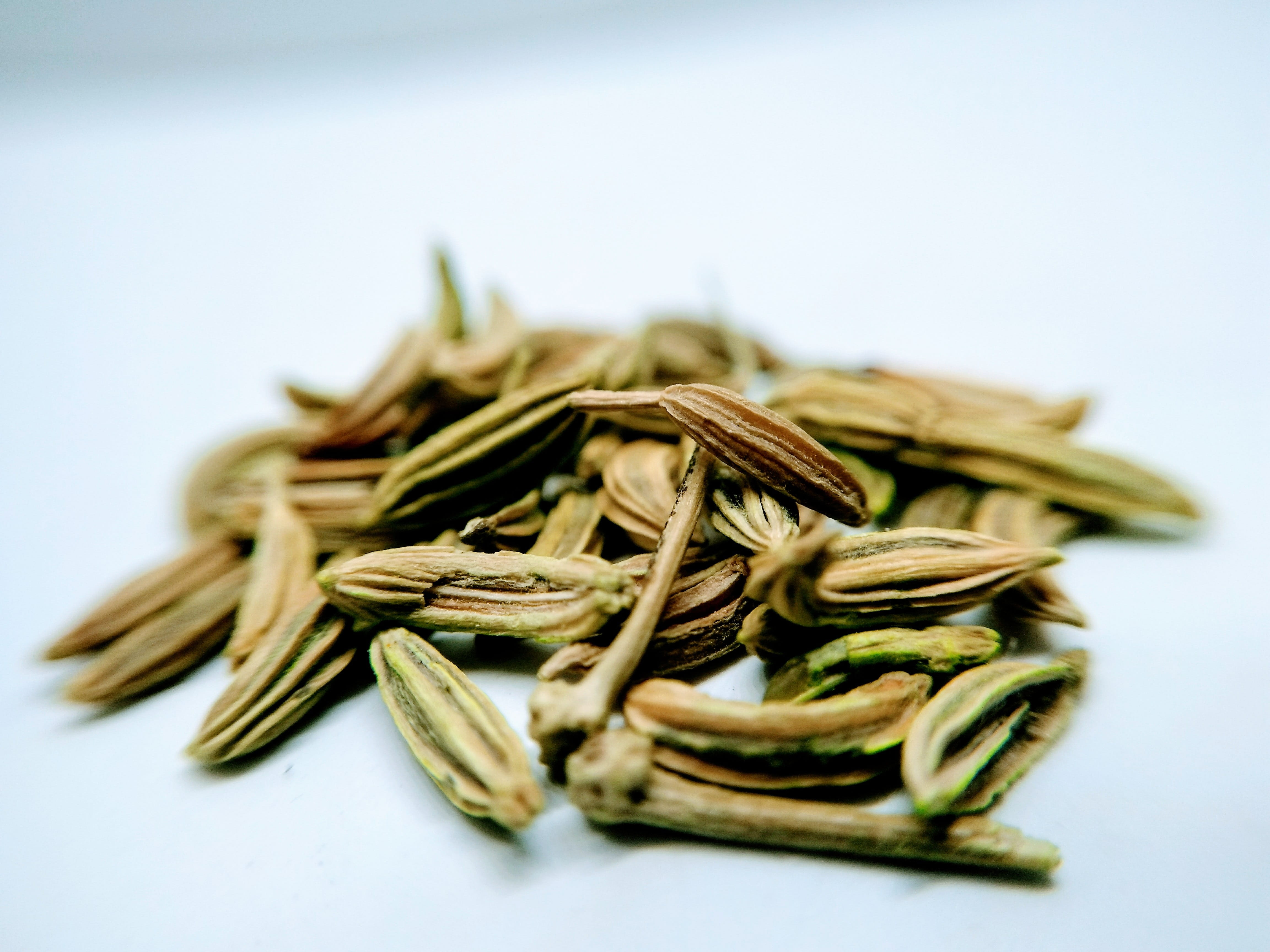 studio shot, 4K, green color, aniseed fennel, spice, spices, no people, freshness, ingredient, vegetable, healthy eating, food, copy space, seed, focus on foreground, HD Wallpaper
