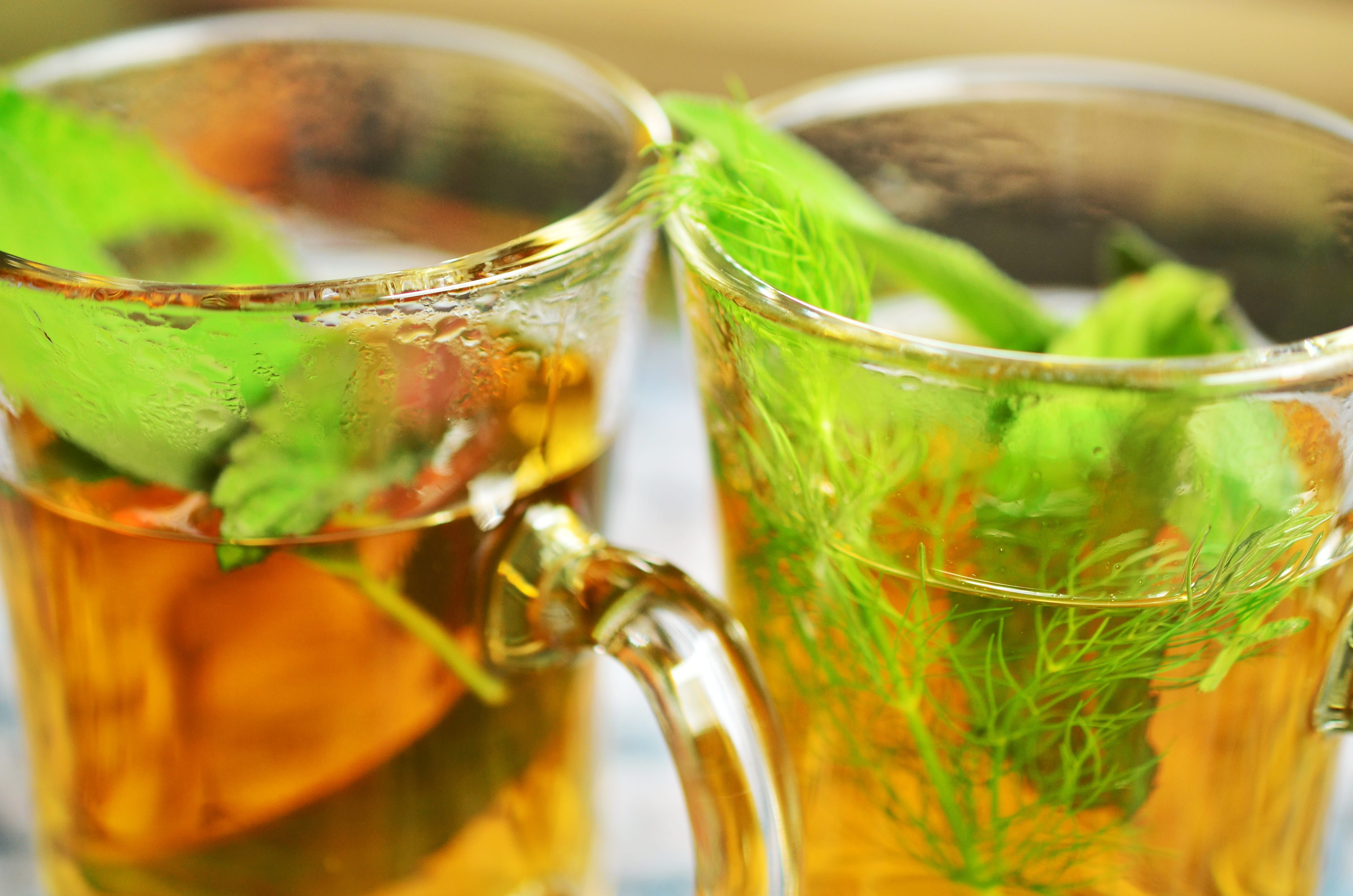 no people, glass - material, plant part, leaves, close-up, freshness, teacups, mint leaf - culinary, fennel, tee, tea, herbal tea, healthy, medicinal herbs, HD Wallpaper