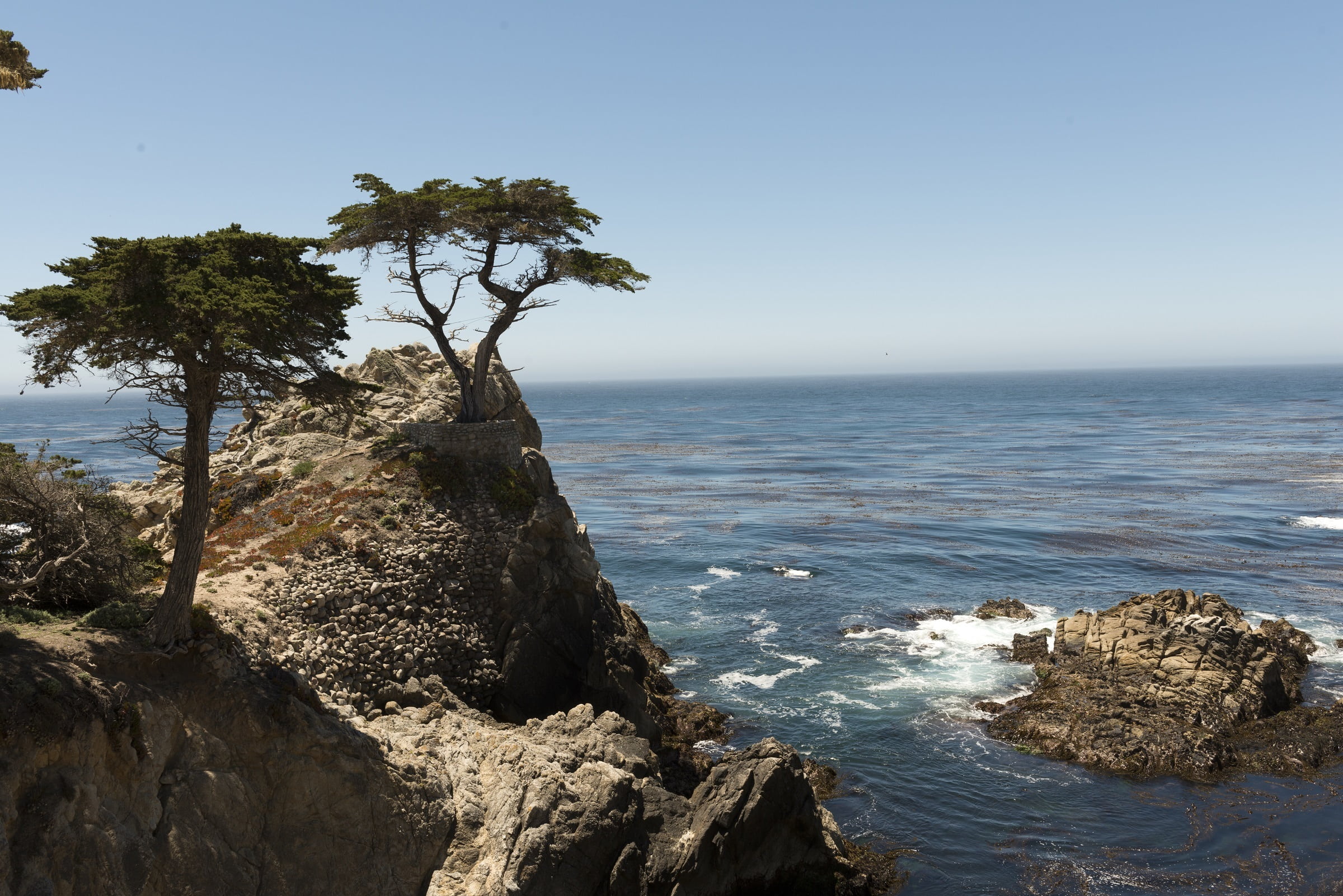 tree, scenics - nature, rocky coastline, landscape, pacific, tranquility, usa, pebble beach, tranquil scene, beauty in nature, california, nature, aerial, HD Wallpaper