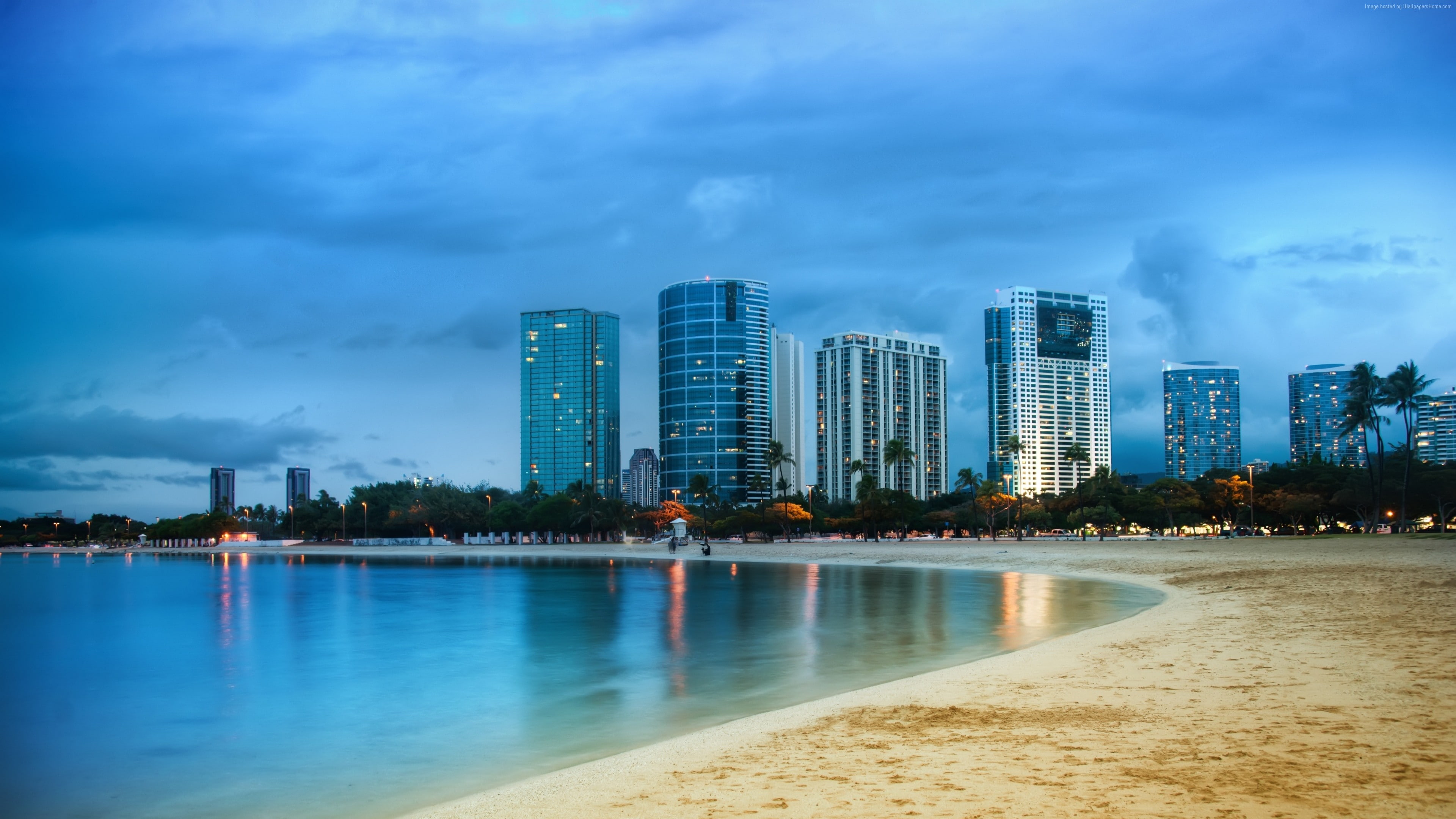 4K, ocean, beach, 4k, 5k, shore, Miami, palms, HD Wallpaper