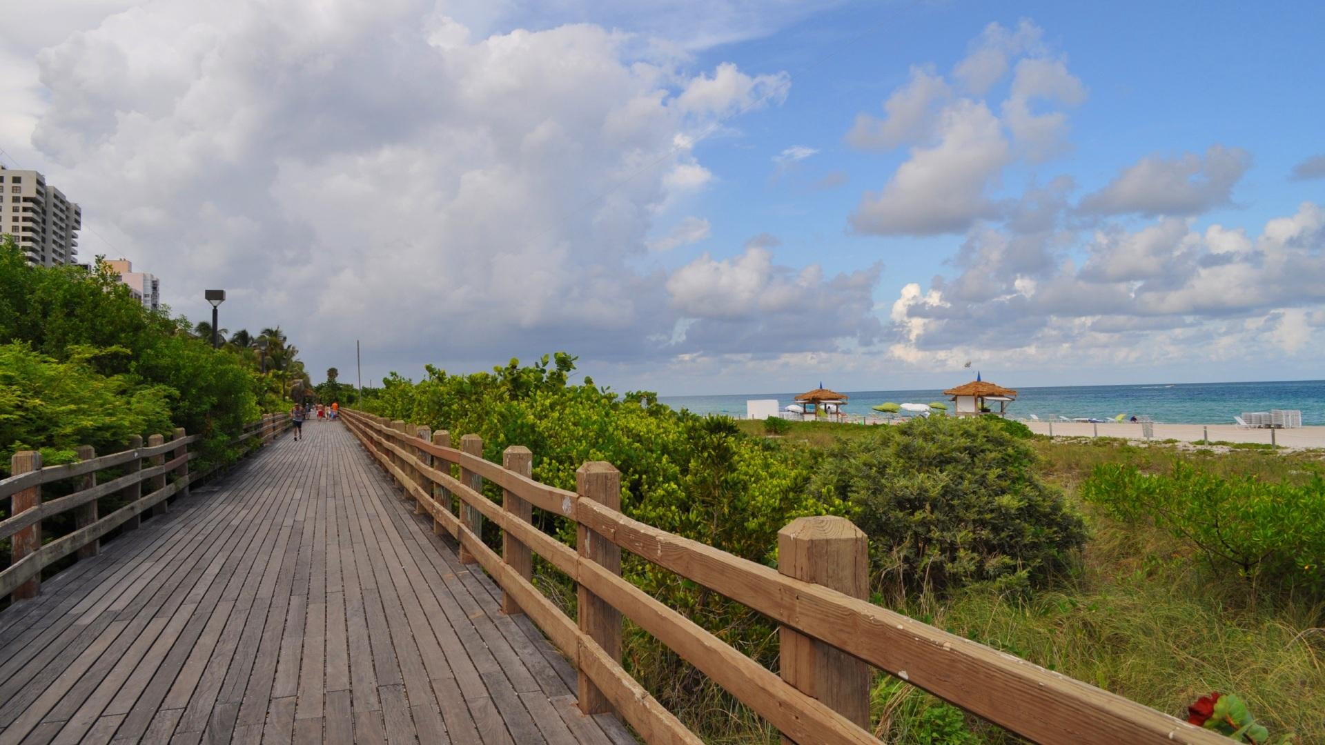 boardwalk, beach, city, nature and landscapes, miami, trees, 1080P, HD Wallpaper