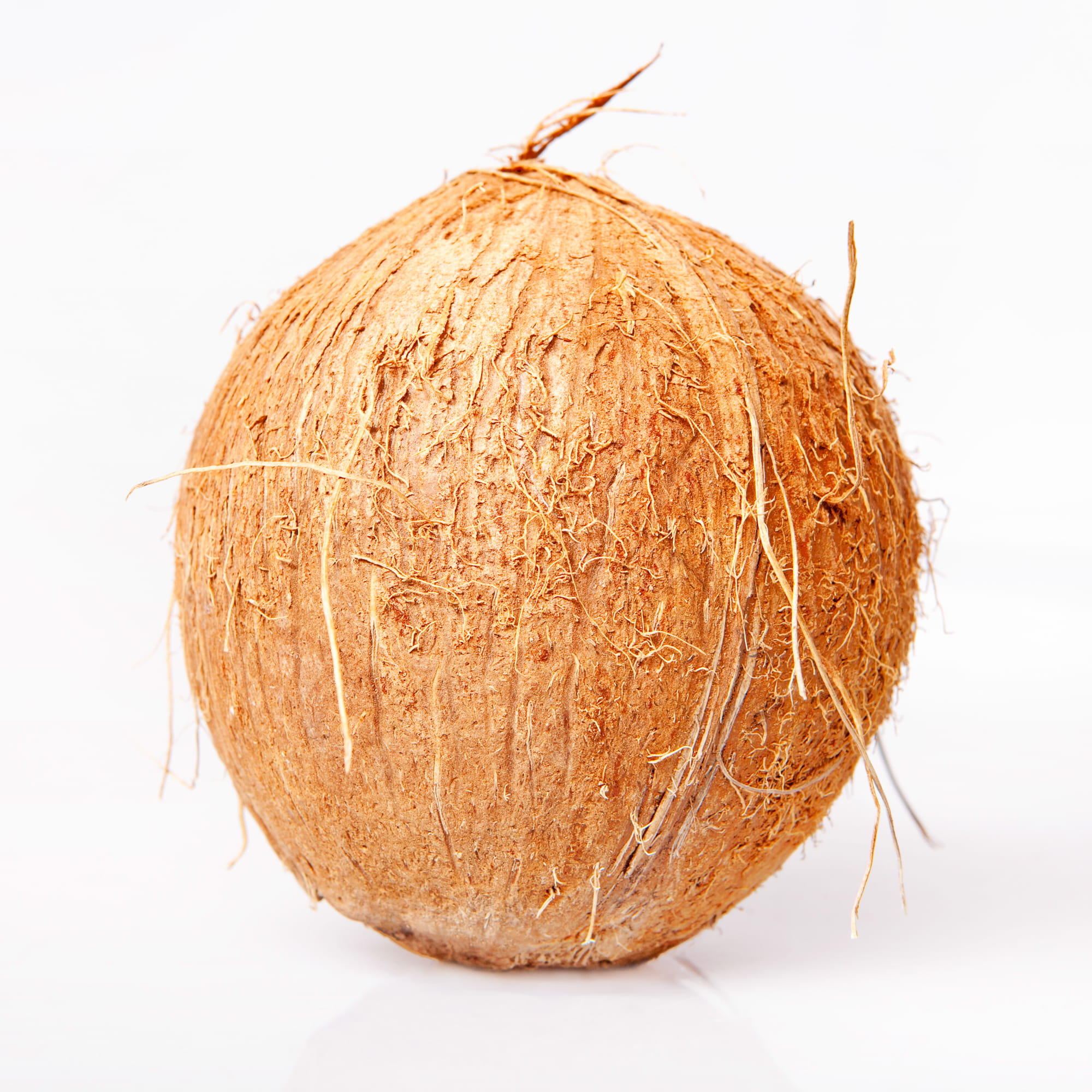 coconut, still life, shell, milk, close-up, cut out, drupe, wellbeing, food and drink, orange color, nature, no people, brown, studio shot, freshness, fruit, Phone HD Wallpaper