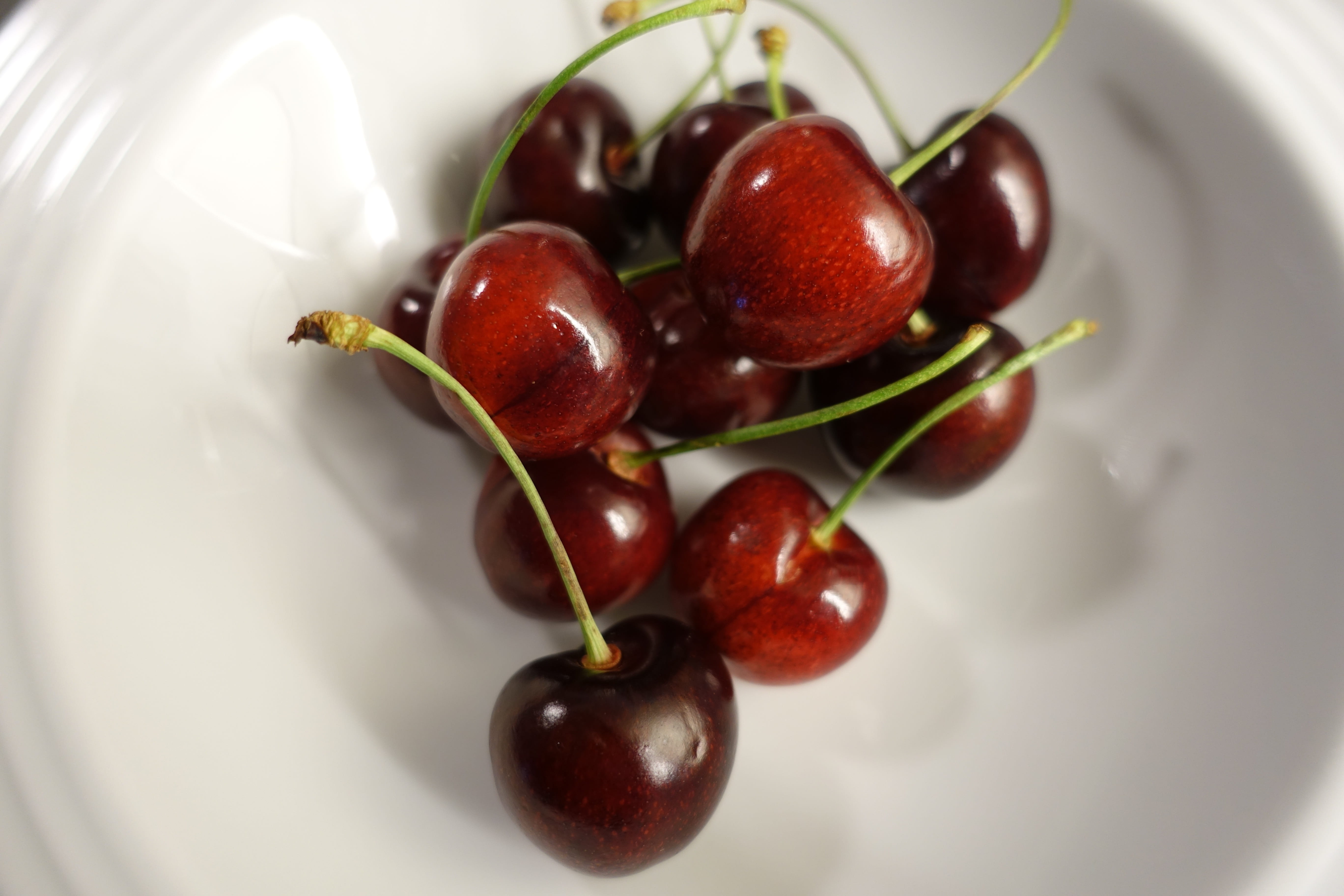 plant, plate, 5K, temptation, prunus, decorative, close-up, selective focus, drupe, still life, studio shot, food and drink, red, bowl, no people, sweet cherries, HD Wallpaper