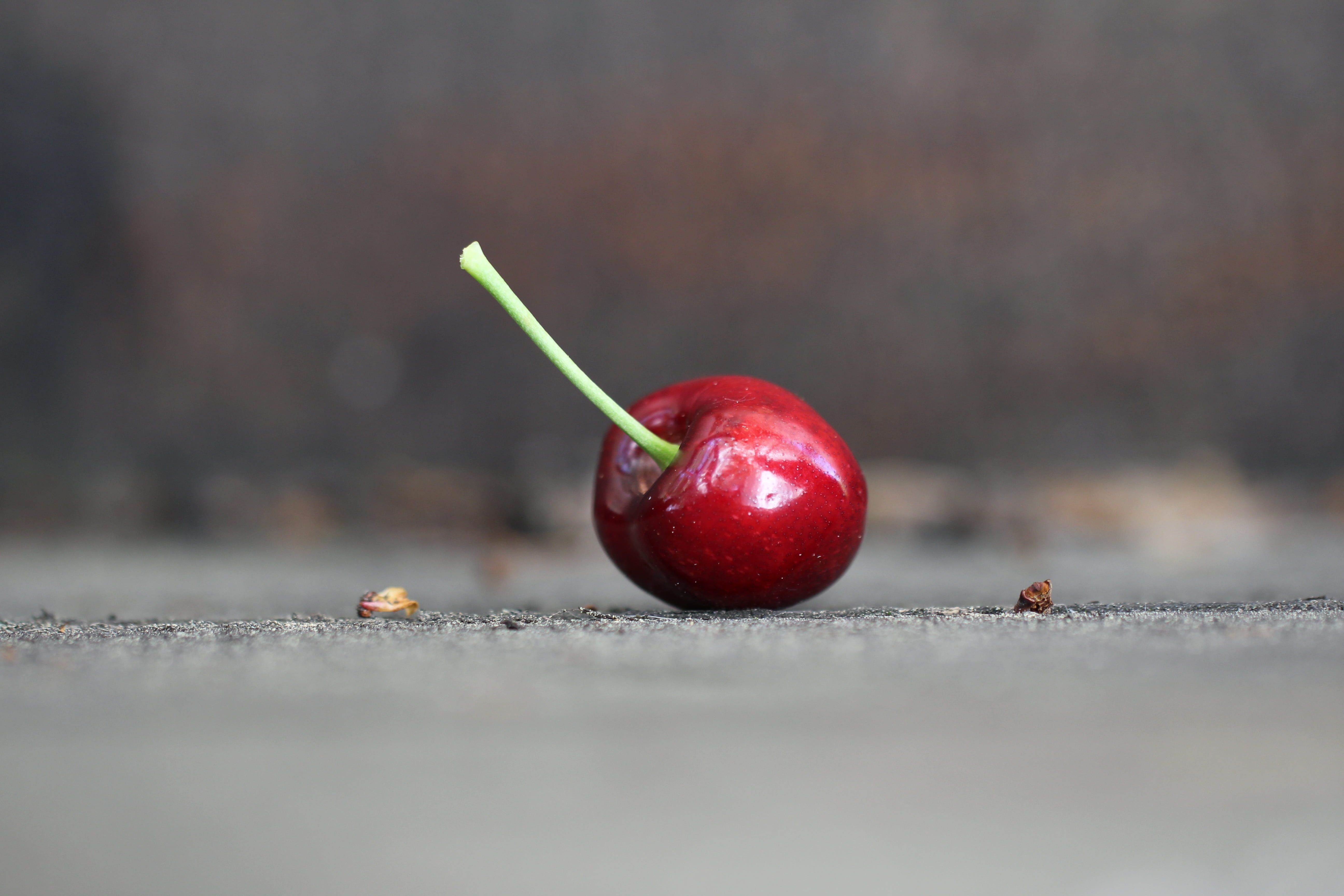 ground floor, selective focus, concerns, one, loneliness, wood - material, smart, alone, healthy eating, plant stem, lonely, red, nature, no people, summer, HD Wallpaper
