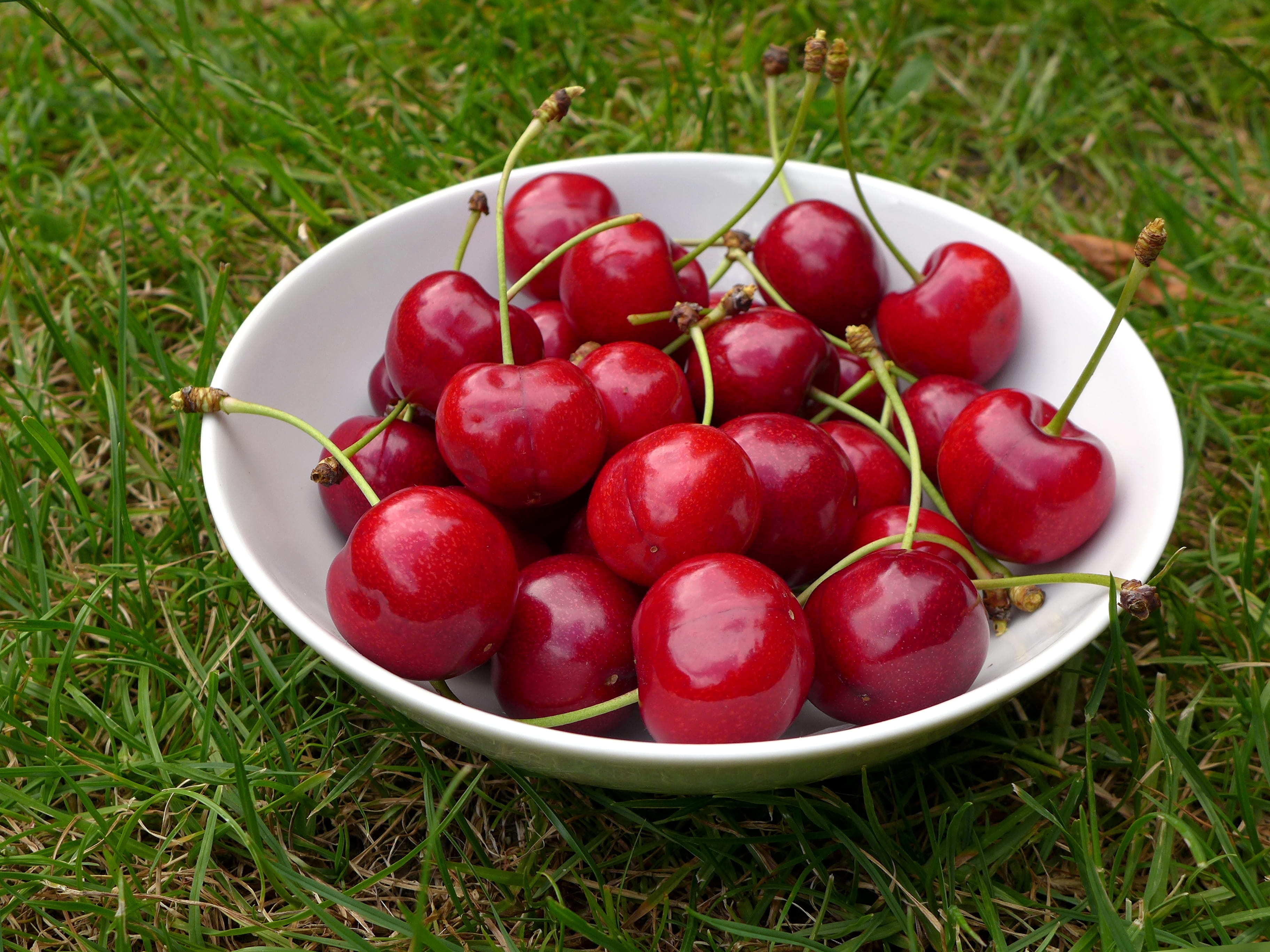 field, shiny, juicy, nature, 2K, food and drink, harvest time, summer, bowl, plant, white, no people, garden, food, drupe, ripe, pome fruit, fruit, grass, HD Wallpaper