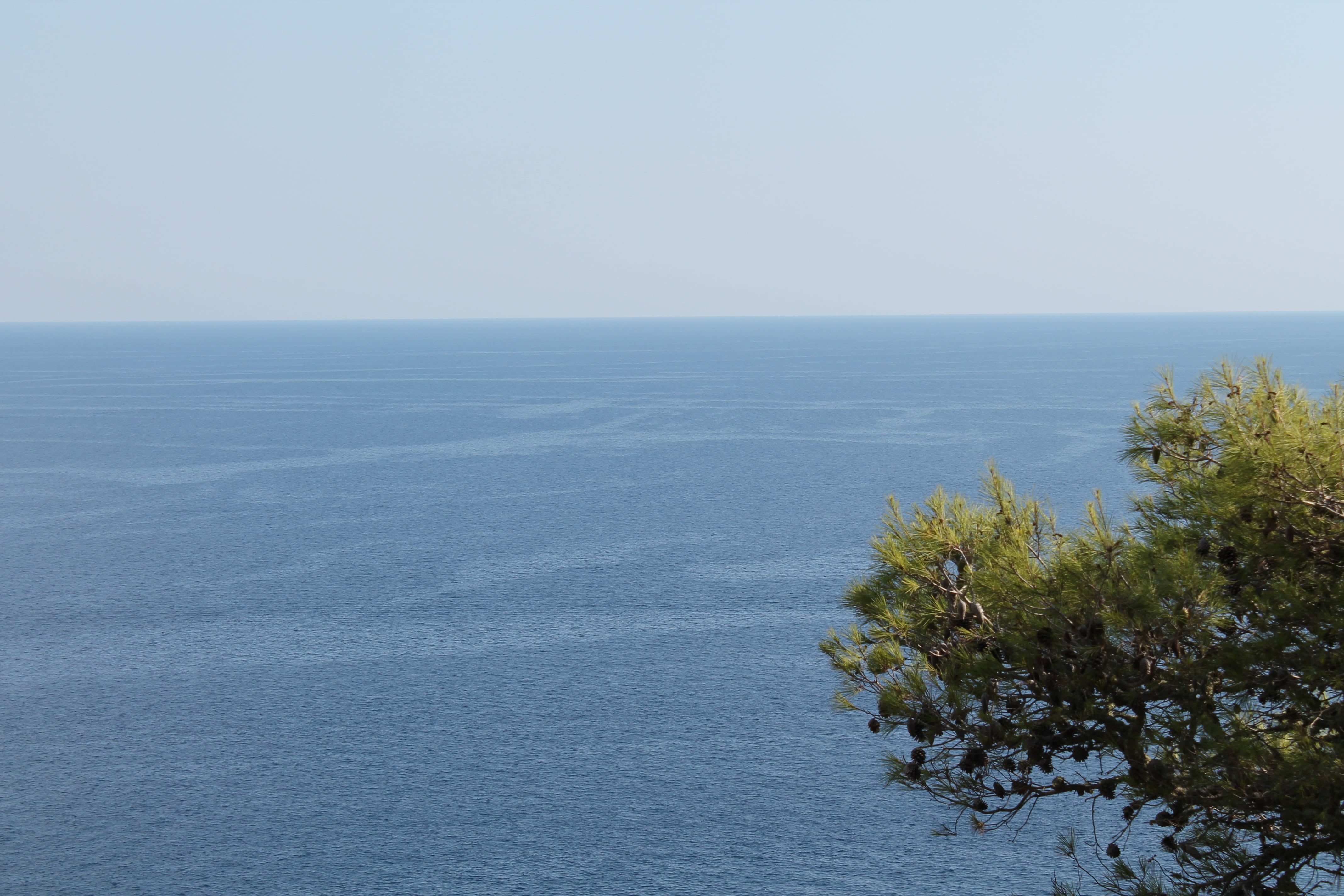 salento, outdoors, horizon, no people, tranquility, plant, beach, idyllic, sky, day, tranquil scene, landscape, tree, nature, clear sky, beauty in nature, HD Wallpaper