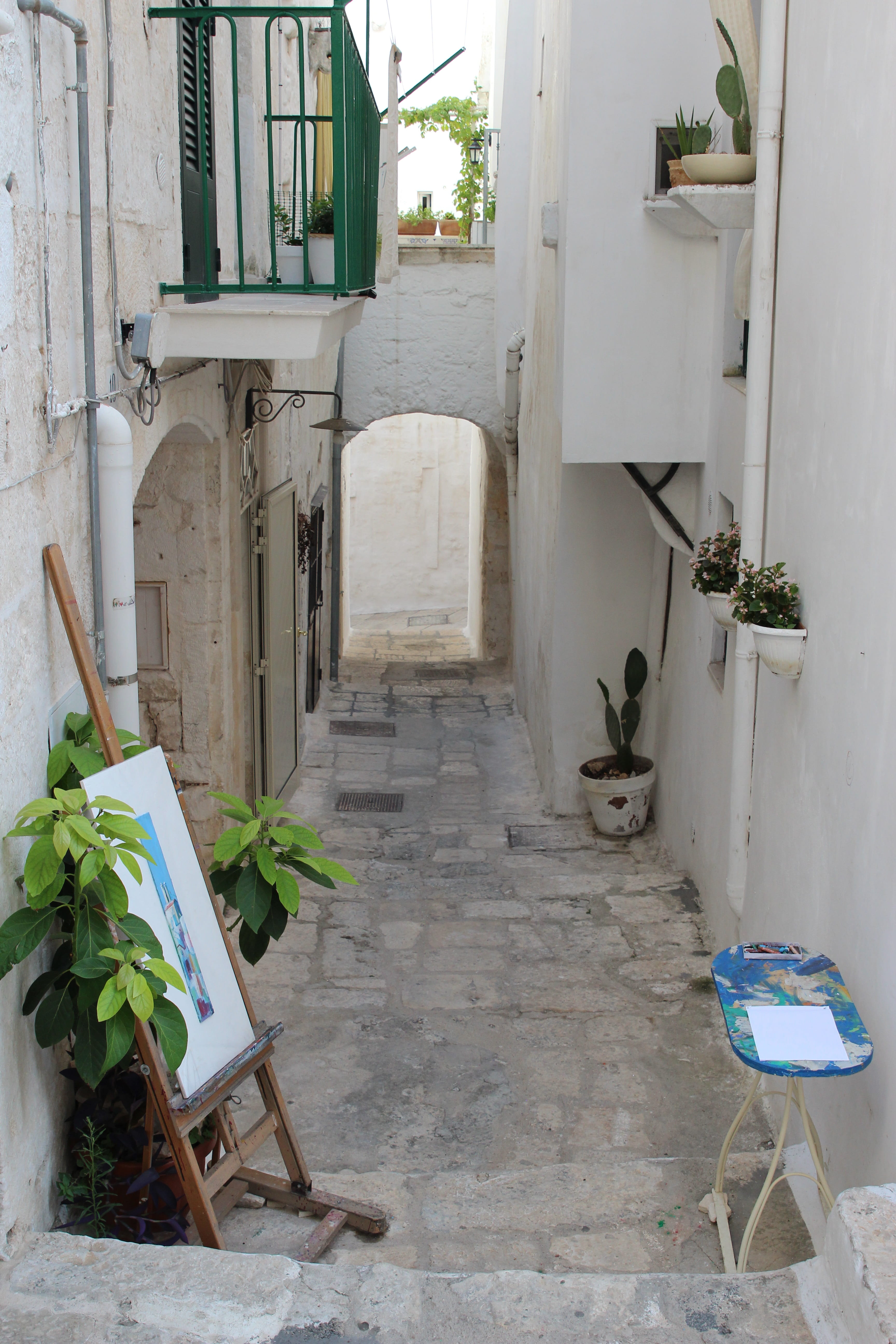 apulia, historical centre, italy, holiday, potted plant, entrance, leaf, door, historic village, south, outdoors, town, houses, wood - material, ostuni, Phone HD Wallpaper