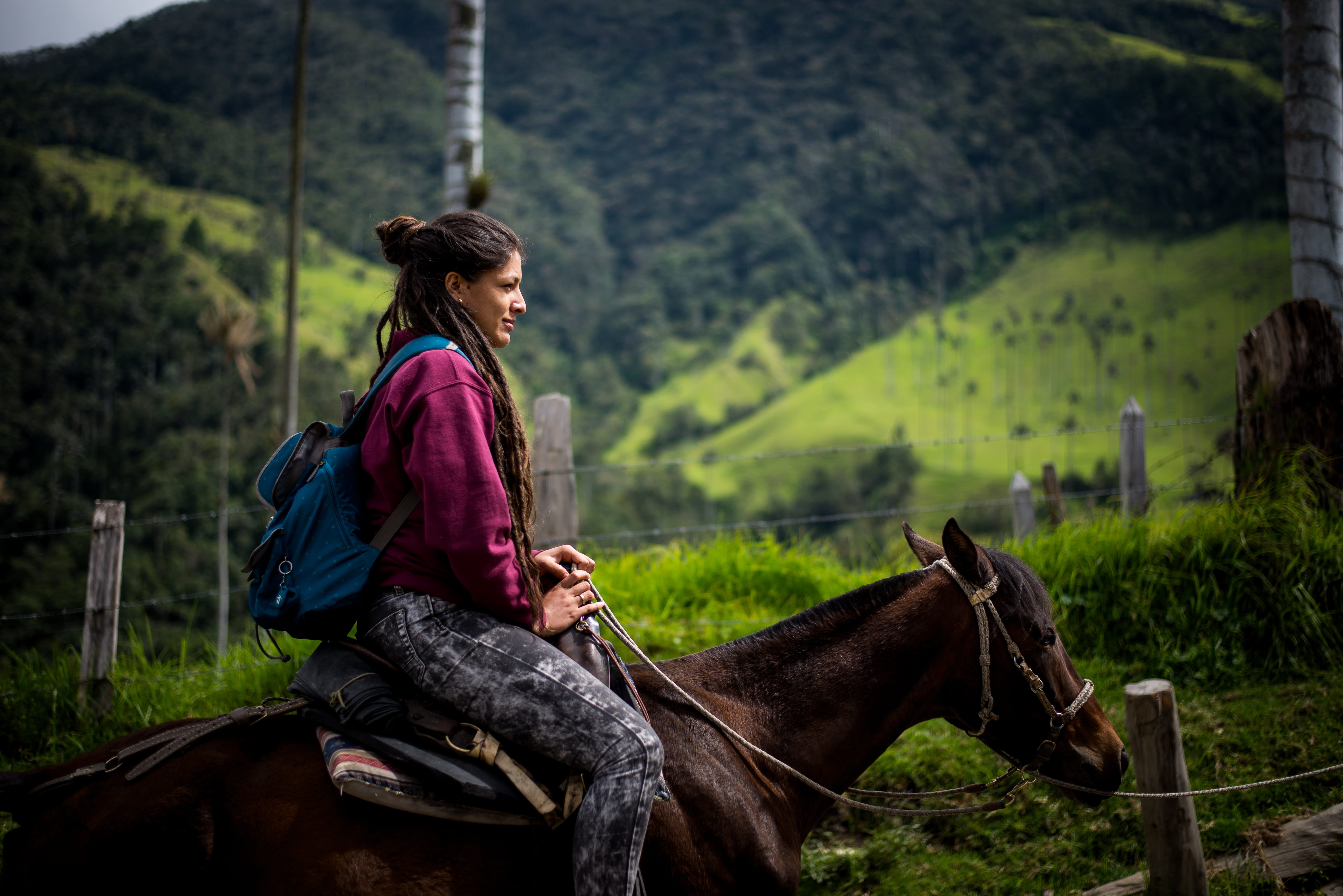 nature, vertebrate, horse rider, domestic animals, real people, plant, 5K, green, livestock, pets, land, tree, rider, woman, herbivorous, rasta, outdoors, HD Wallpaper