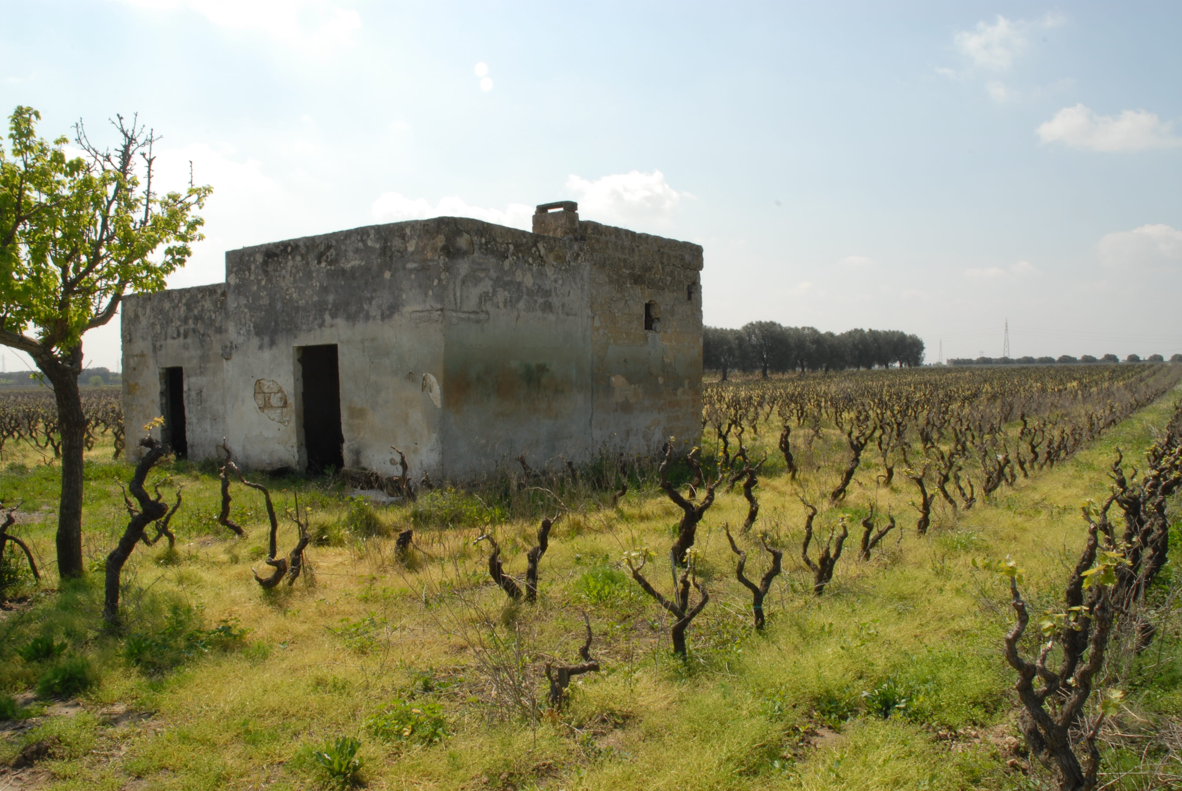 agriculture, grass, rural house, nature, campaign, tree, tranquil scene, field, landscape, architecture, screw, outdoors, cultivation, history, vineyard, HD Wallpaper