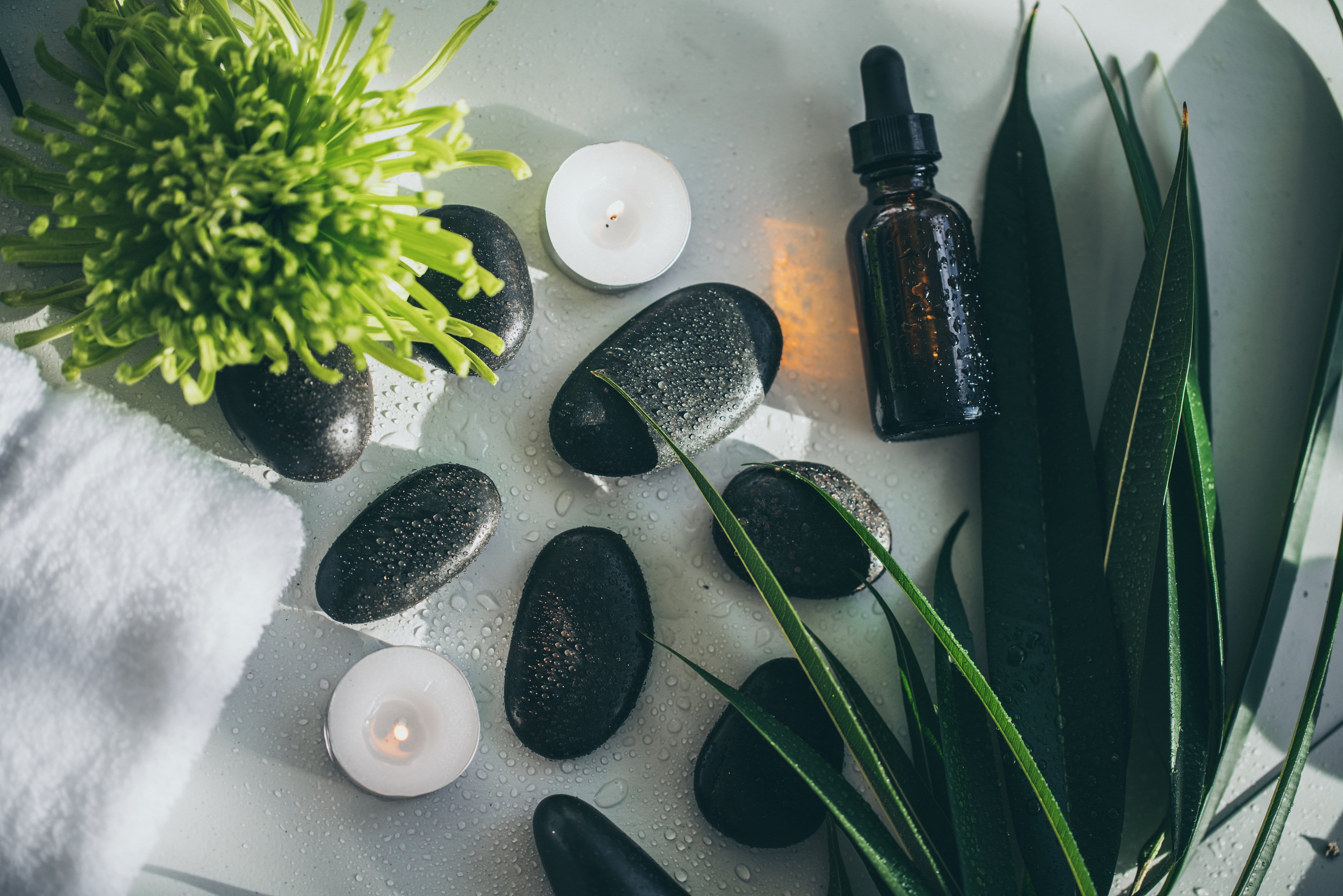 high angle view, Flatlay, 4K, Plants, black color, photo, healthy eating, Relax, Candle, Rocks, indoors, directly above, preparation, food and drink, Spa, HD Wallpaper