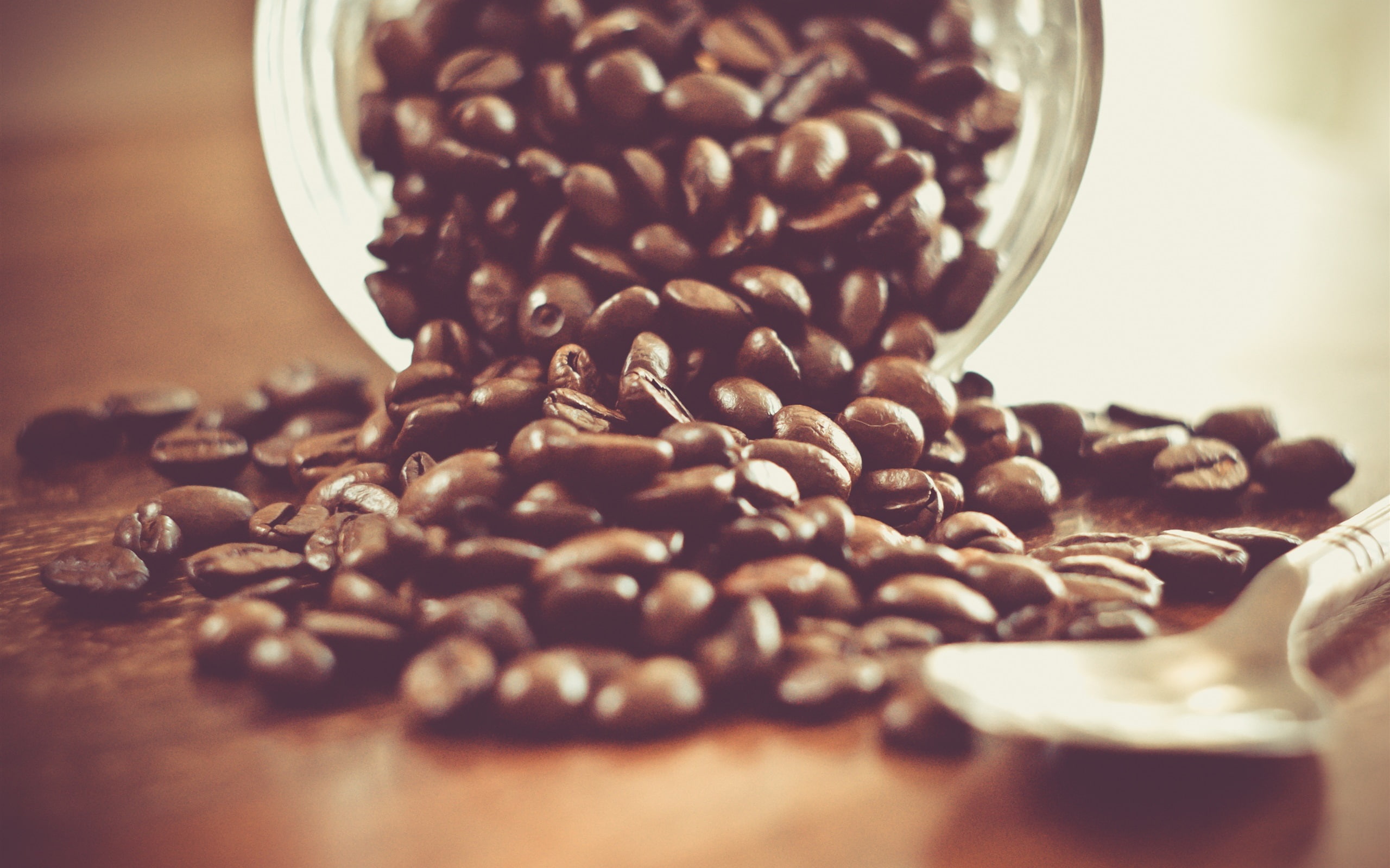 Beans, 2K, Spoon, Coffee, Life, Still, HD Wallpaper