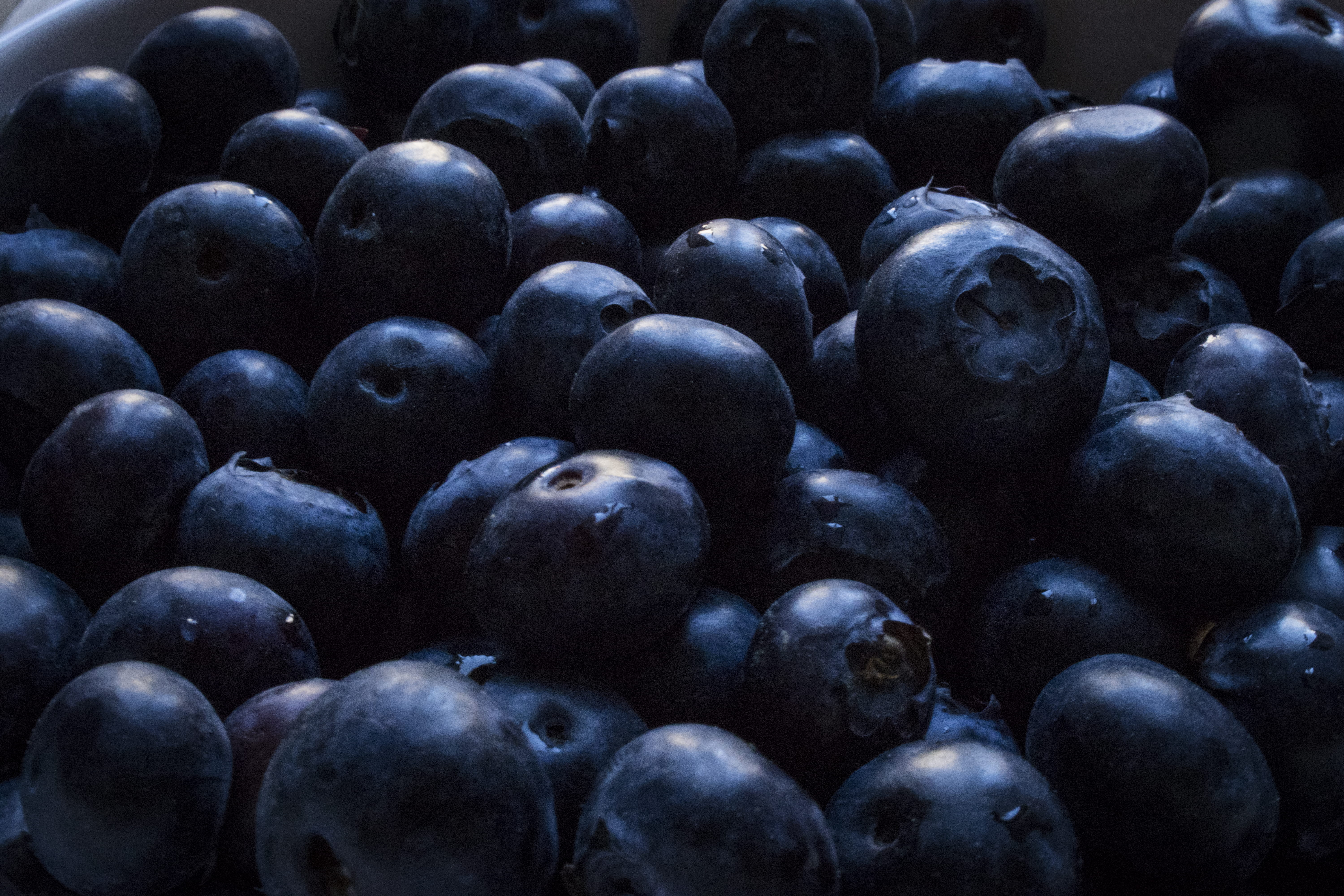blueberries, diet, snack, full frame, bilberry, food and drink, fruits, berry fruit, delicious, fresh, health, studio shot, fruit, no people, healthy lifestyle, HD Wallpaper