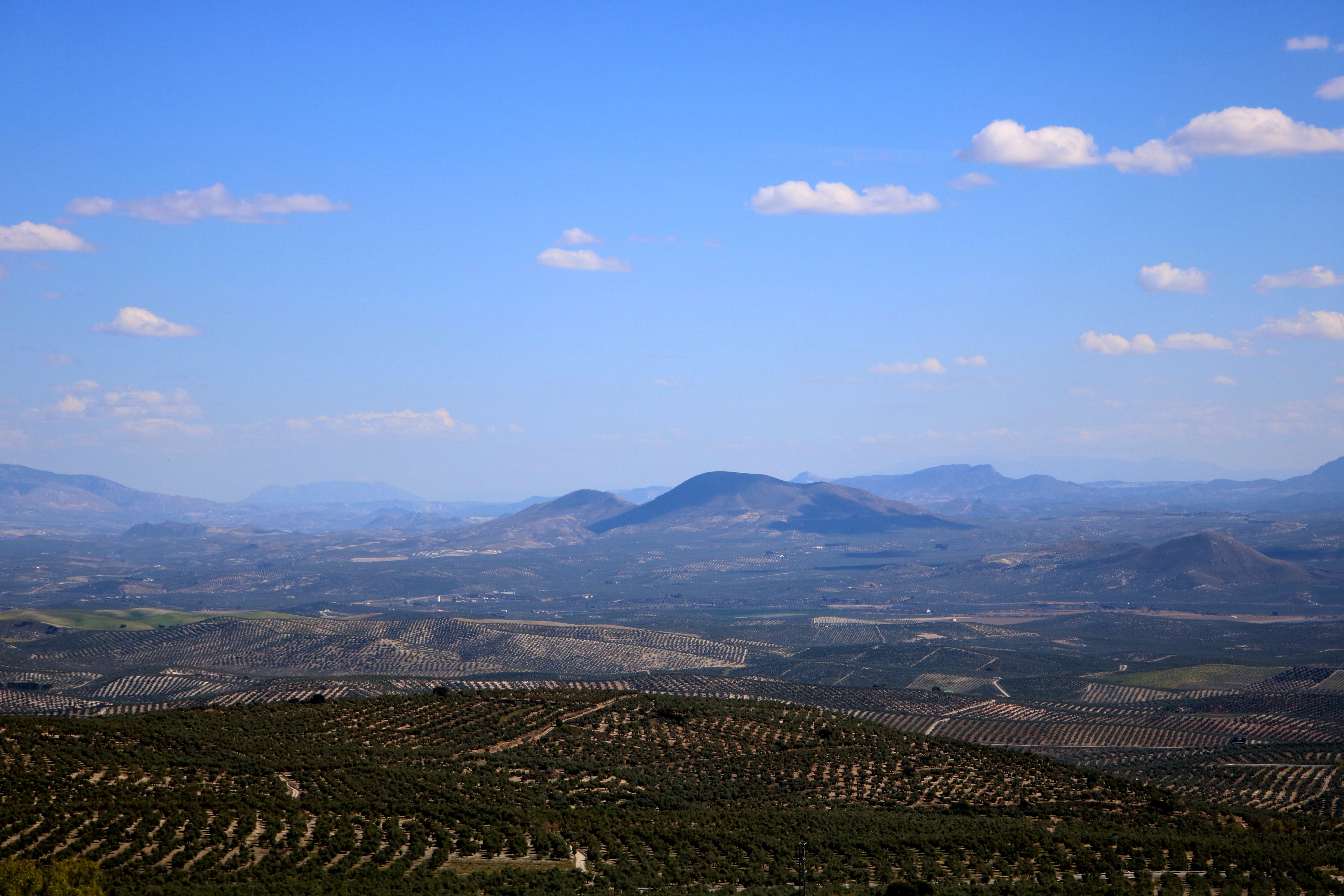 green, 5K, cloud - sky, sky, trees, cultivation, beauty in nature, plantation, tranquil scene, rural scene, mountain range, mountain, baeza, scenics - nature, HD Wallpaper