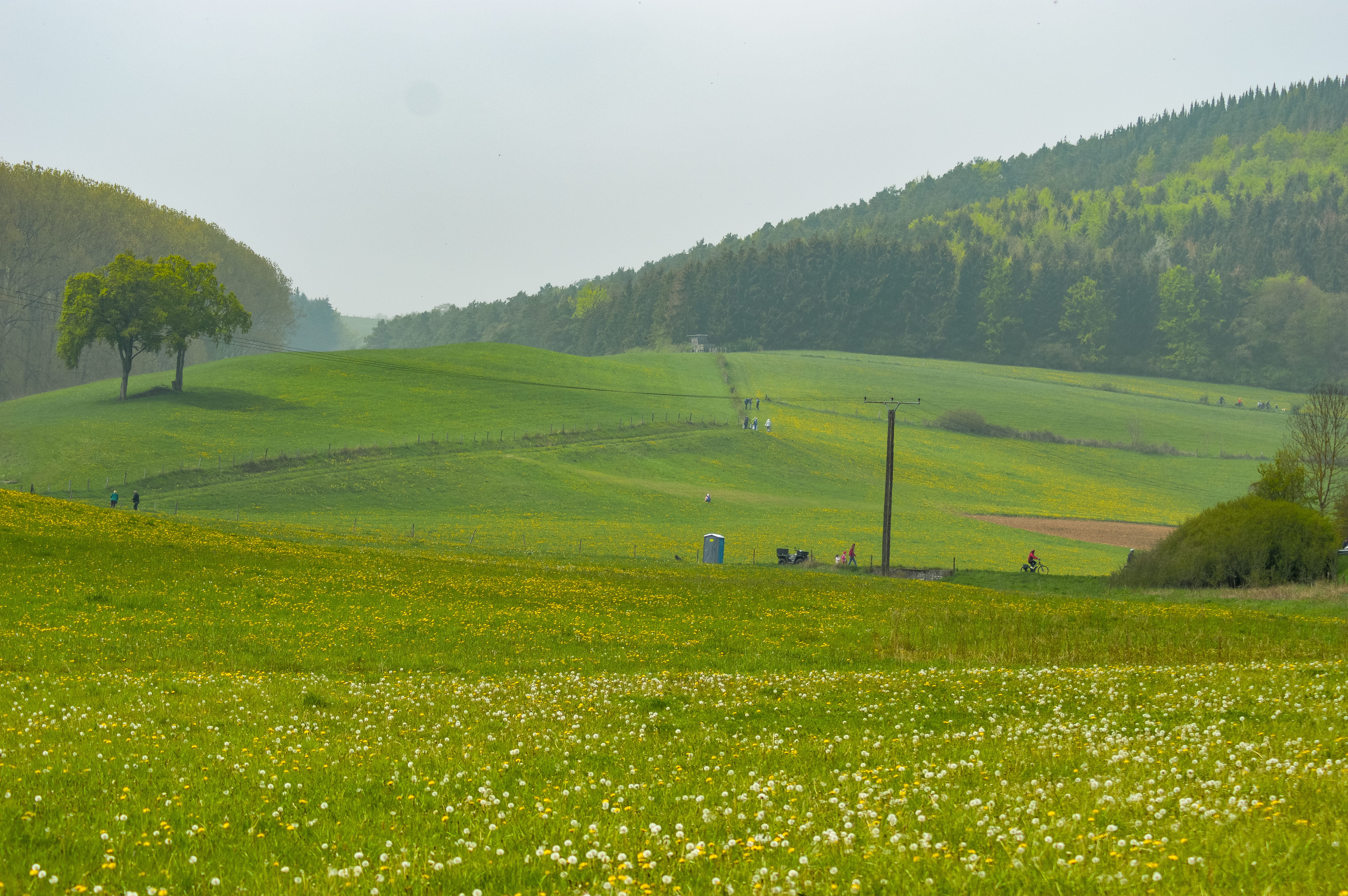 countryside, 5K, scenics - nature, tranquility, plant, landscape, idyllic, eifel, person, hill, sky, love it, plateau, green color, field, rural scene, HD Wallpaper
