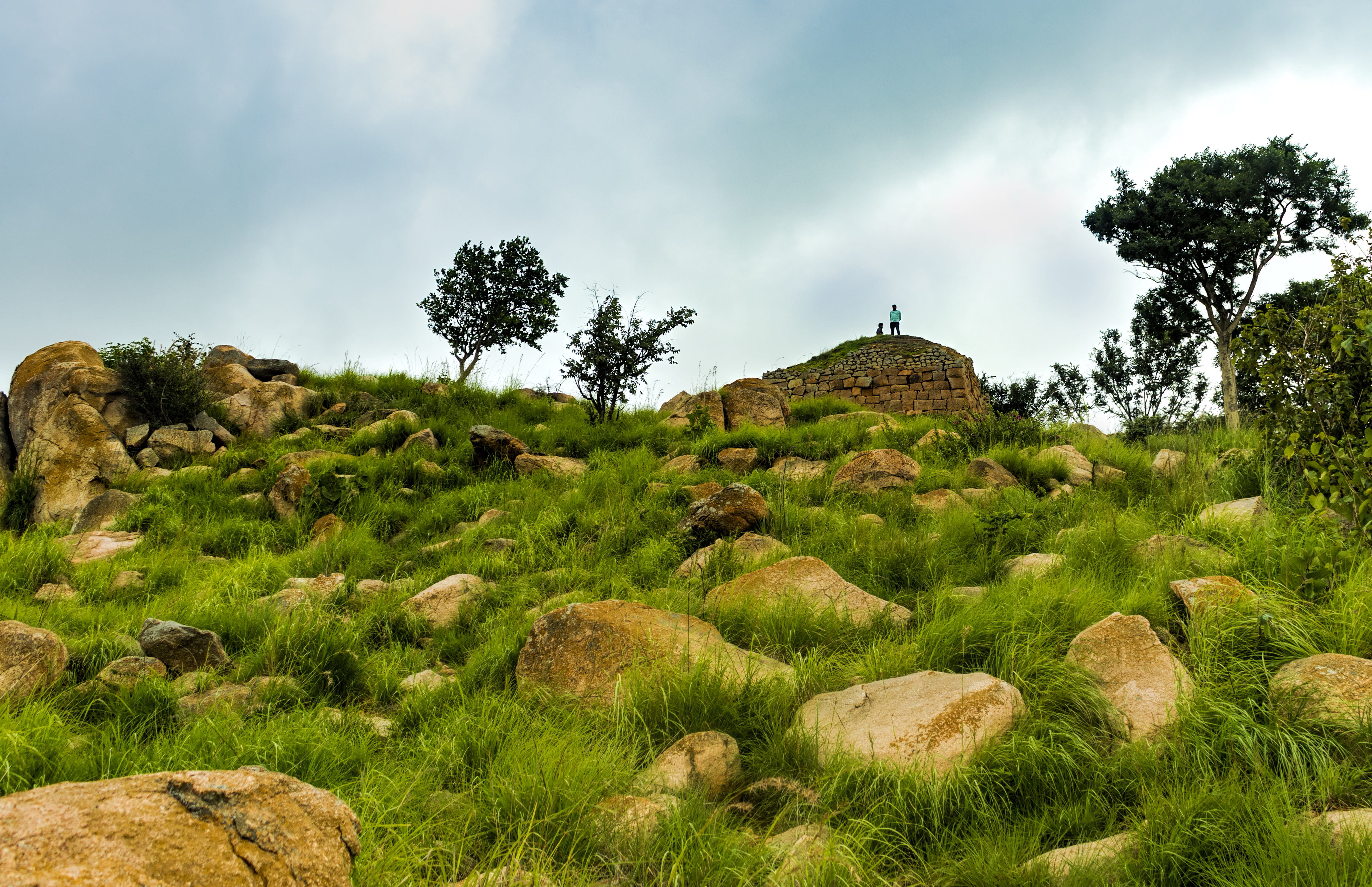5K, tree, countryside, growth, bangalore, landscape, rock, person, cloudy, cloud - sky, hills, beauty in nature, scenics - nature, outdoors, land, nature, HD Wallpaper
