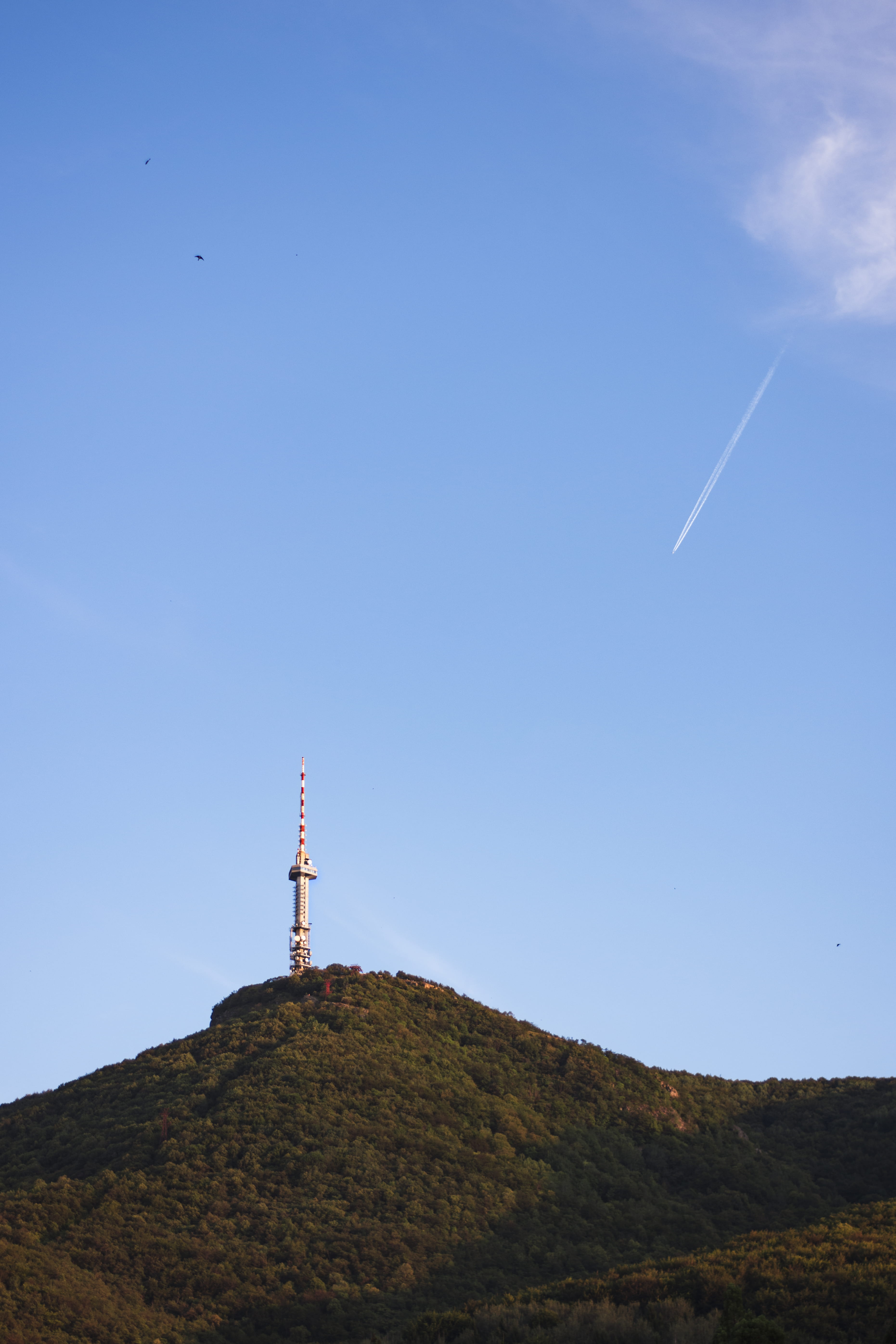 communication, low angle view, 5K, vitosha, mountain, scenics - nature, field, sky, clear sky, animal, beauty in nature, nature, tower, bulgaria, outdoors, Phone HD Wallpaper