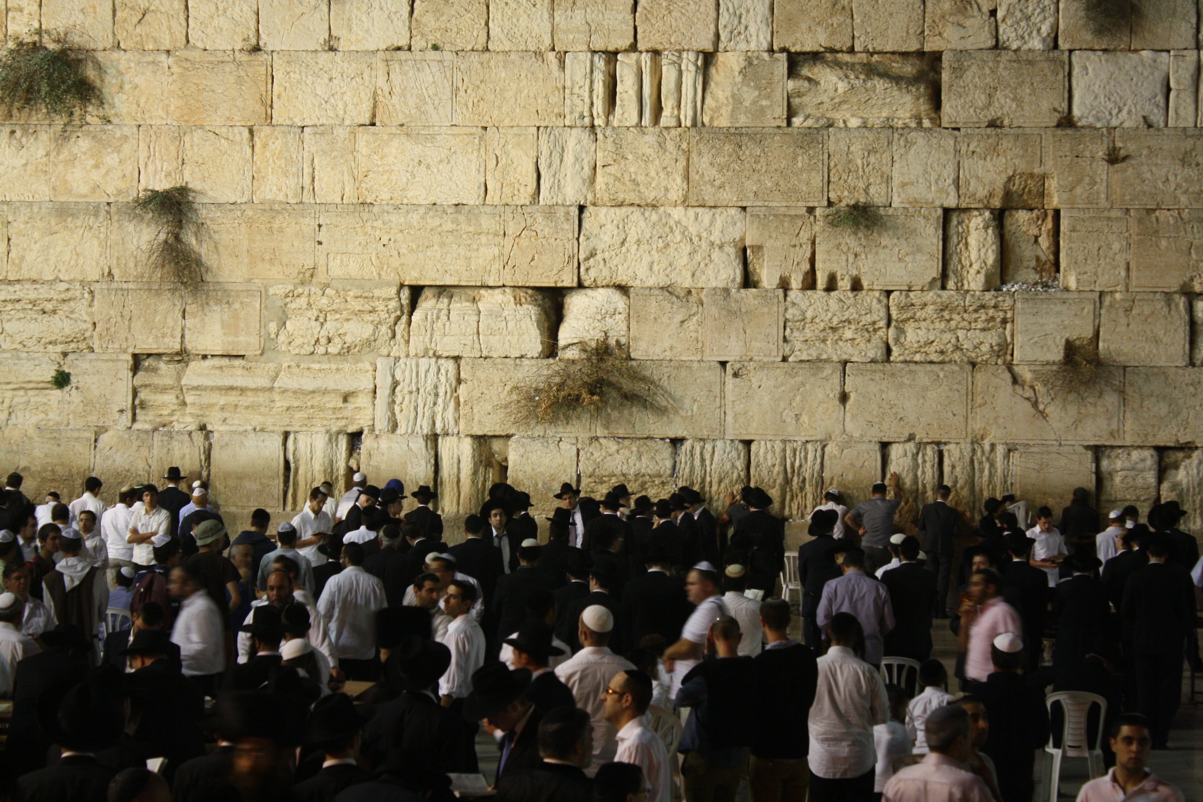 western wall, wall, visit, judaism, ancient, spirituality, lifestyles, tourism, holy, 4K, large group of people, travel destinations, real people, architecture, HD Wallpaper