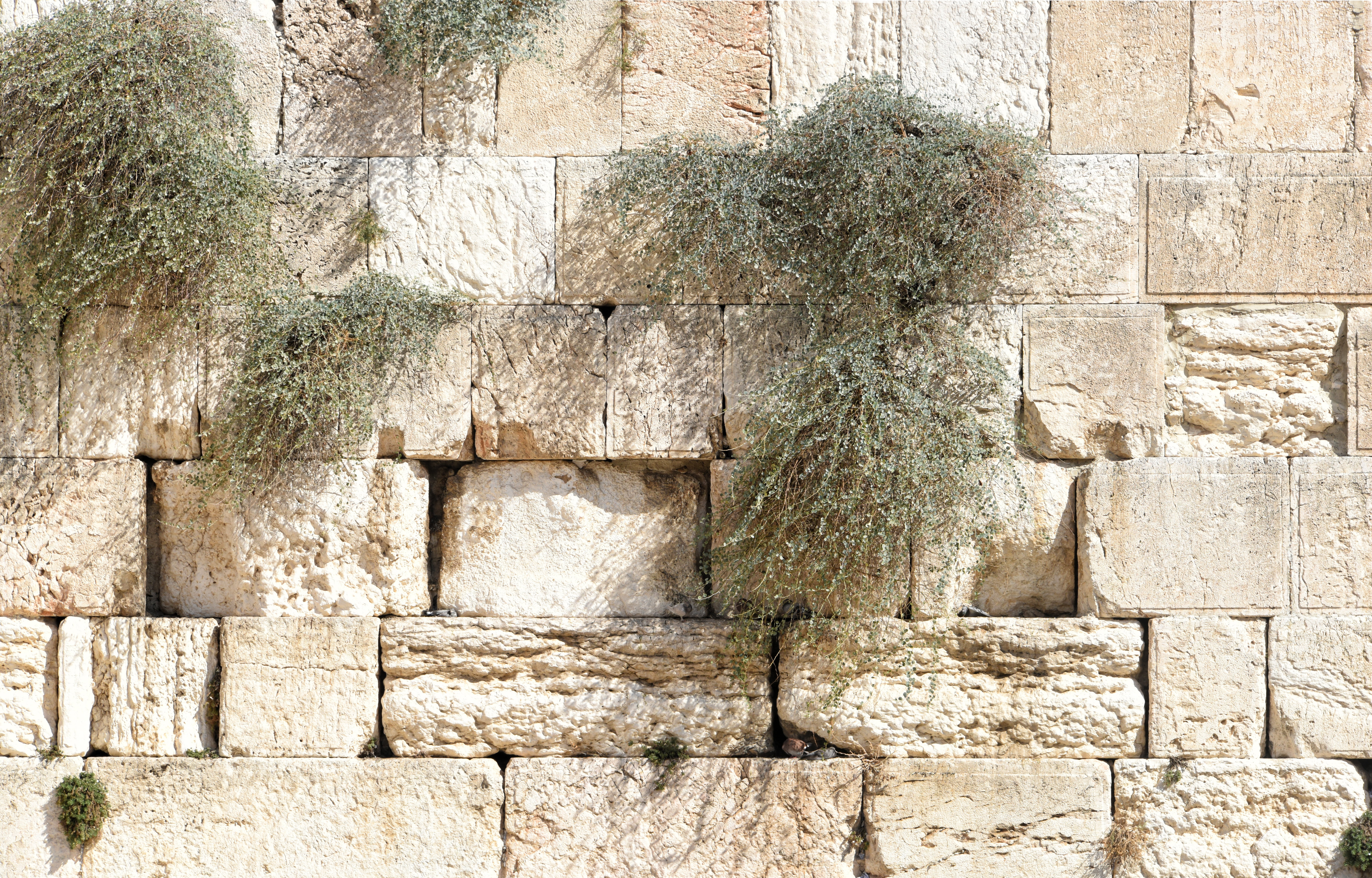 history, sunlight, no people, built structure, architecture, jerusalem, pattern, israel, backgrounds, walling, textured, prayer, saint, sacred, judaism, HD Wallpaper