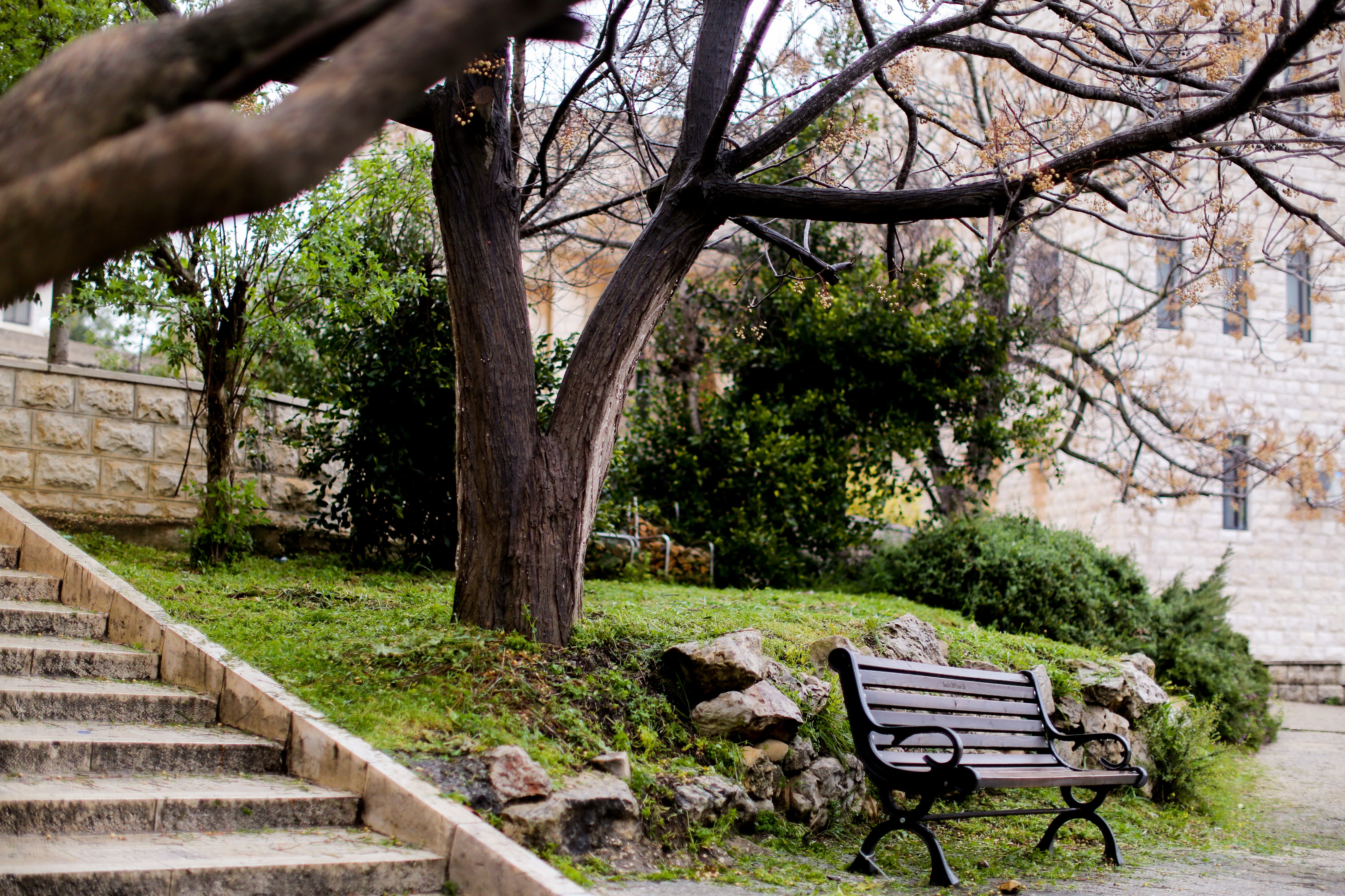 Palestine, 5K, park - man made space, built structure, Birzeit, no people, growth, park bench, outdoors, seat, architecture, bench, empty, green color, HD Wallpaper