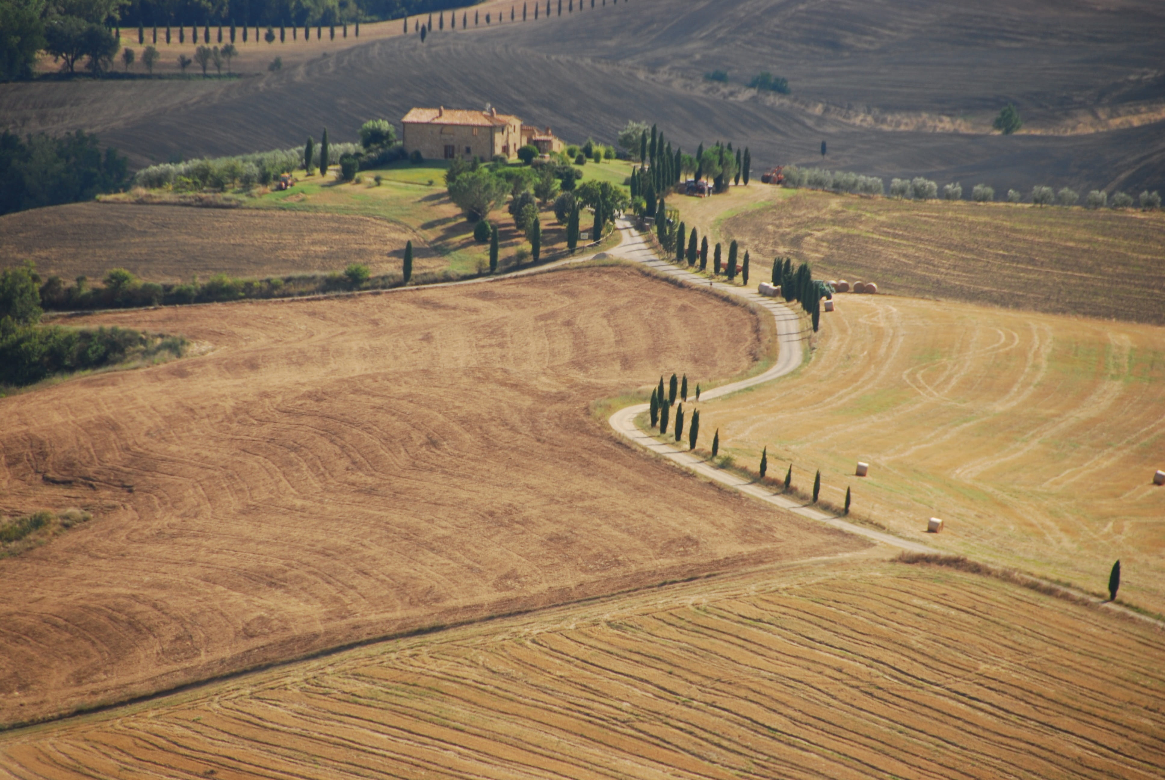 day, view, environment, rolling landscape, olive trees, agriculture, aerial, farm, patchwork landscape, beauty in nature, rural scene, tranquil scene, Landscape, HD Wallpaper