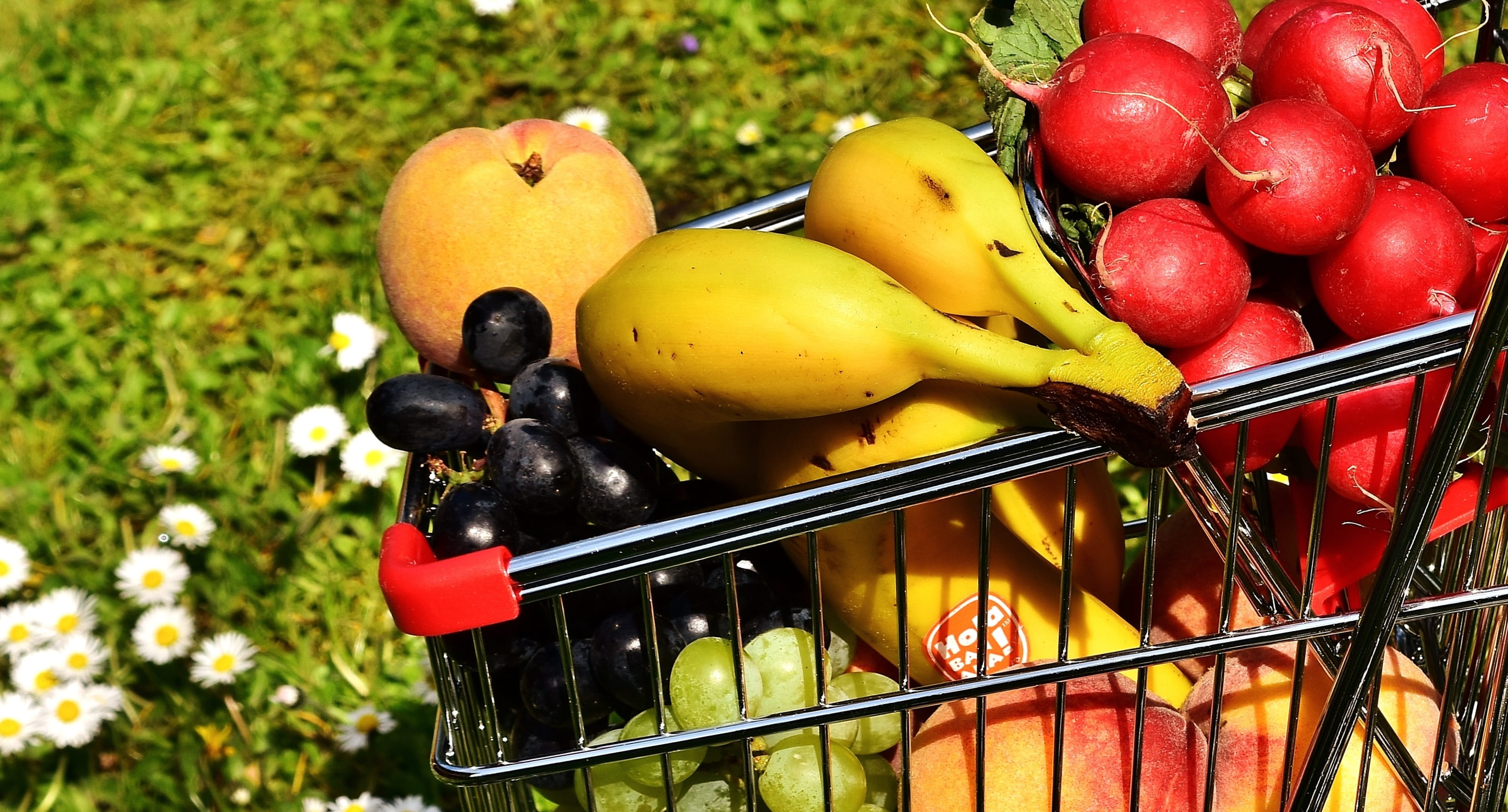 ripe, vitamins, container, fruits, purchasing, nature, healthy shopping, orange, farmers local market, cart, still life, apple - fruit, healthy, yellow, HD Wallpaper