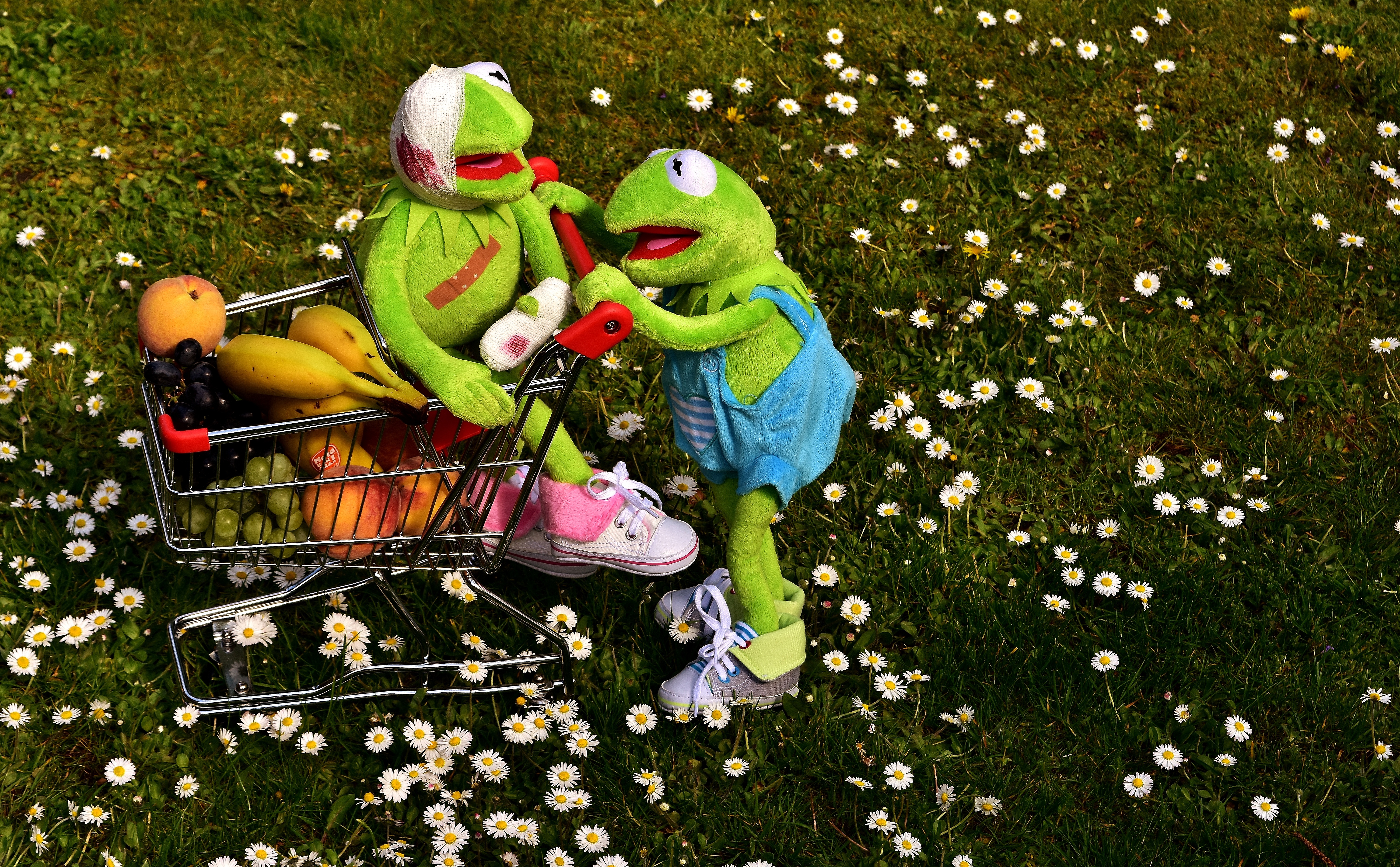 outdoors, freshness, field, still life, grass, green color, shopping cart, food and drink, childhood, day, child, kermit, farmers local market, representation, HD Wallpaper