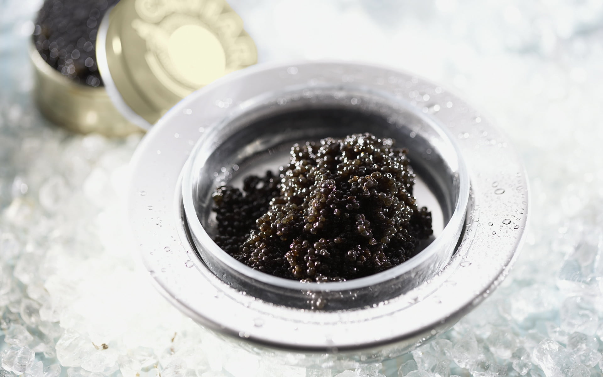 jar, preparation, bowl, 1080P, still life, plate, plant, high angle view, no people, close-up, cooking, backgrounds, caviar, dirt, container, white, black, HD Wallpaper