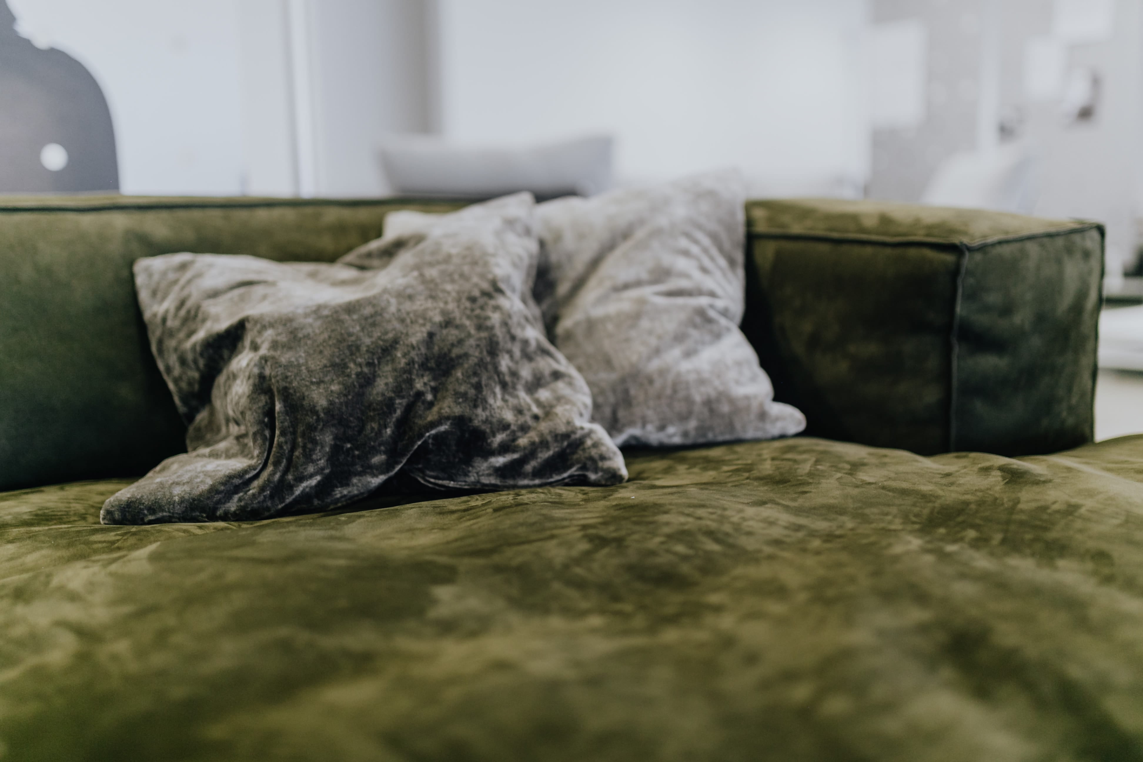 italia, furniture, pillow, Italy, italian, cozy, no people, animal, one animal, comfortable, animal themes, indoors, 4K, lying down, mammal, domestic animals, HD Wallpaper