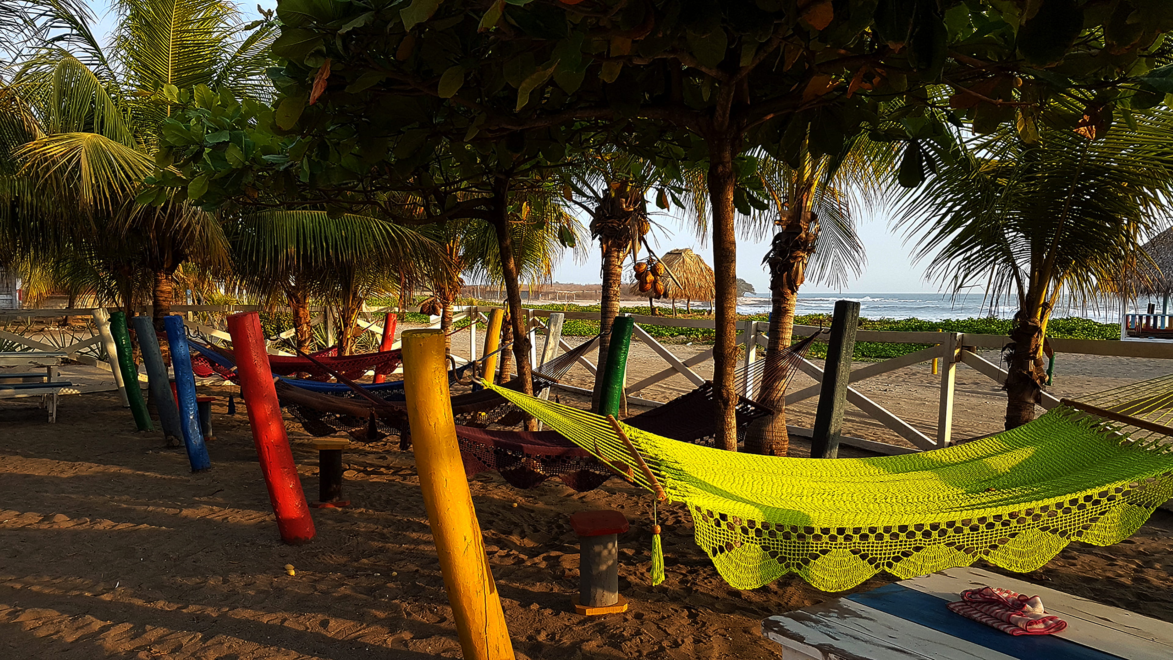 plant, water, chili, rise up surf, palm tree, beach, tapas, surf, green color, 4K, tapas and surf, nicaragua, tropical climate, hammock, nature, day, outdoors, HD Wallpaper