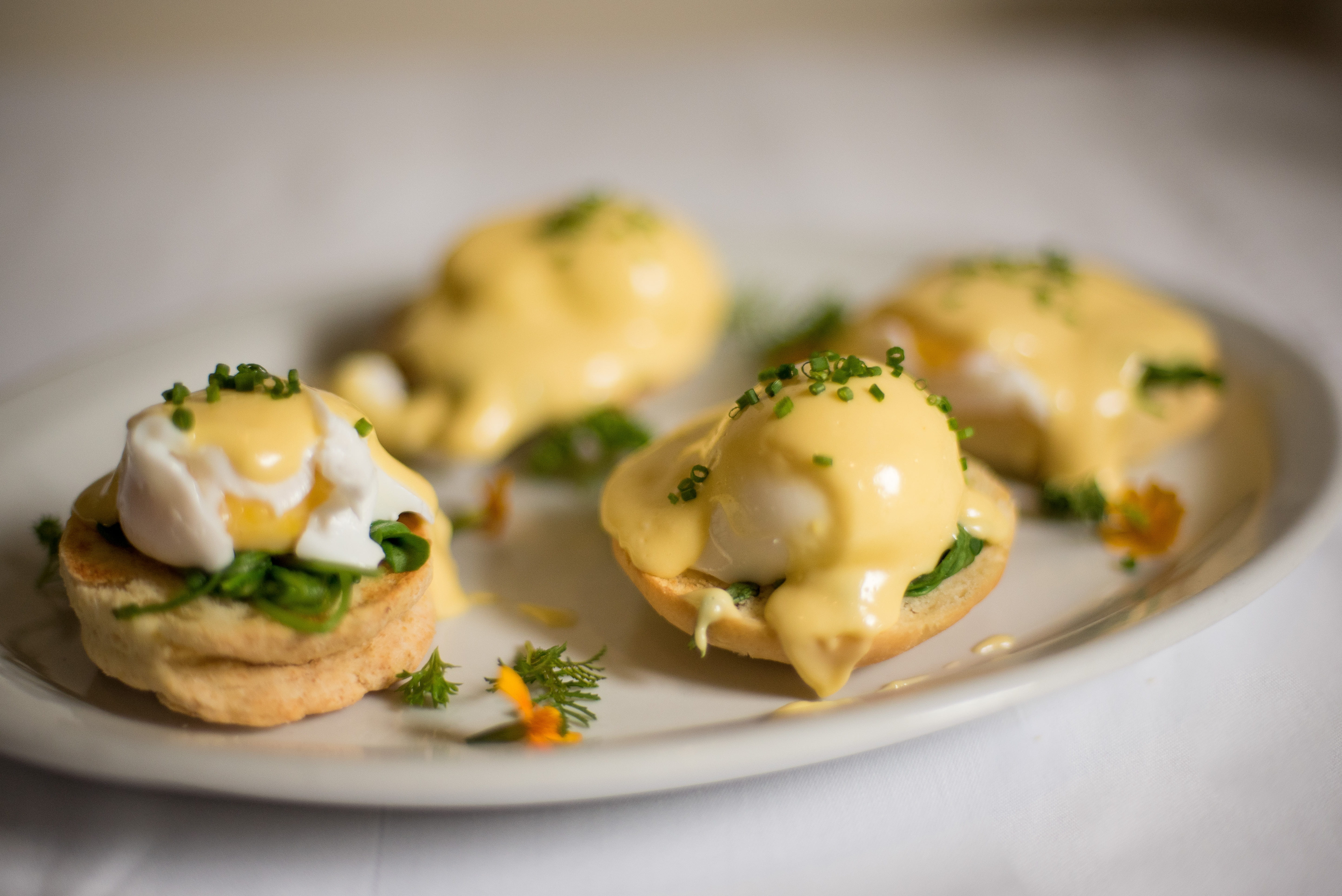close-up, healthy eating, 5K, food, dish, gourmet, still life, eggs, plate, indoors, selective focus, herb, temptation, freshness, tapas, food and drink, HD Wallpaper