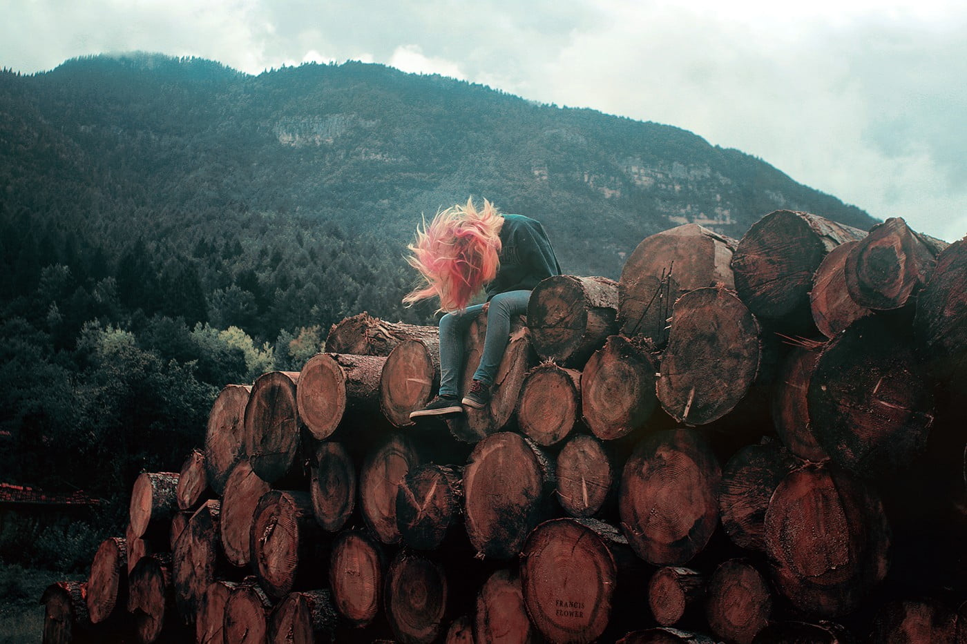 shirt, sky, blue, deforestation, plant, 720P, timber, firewood, mountain, one person, lumber industry, jeans, wood, cannon, stack, nature, black, women, HD Wallpaper