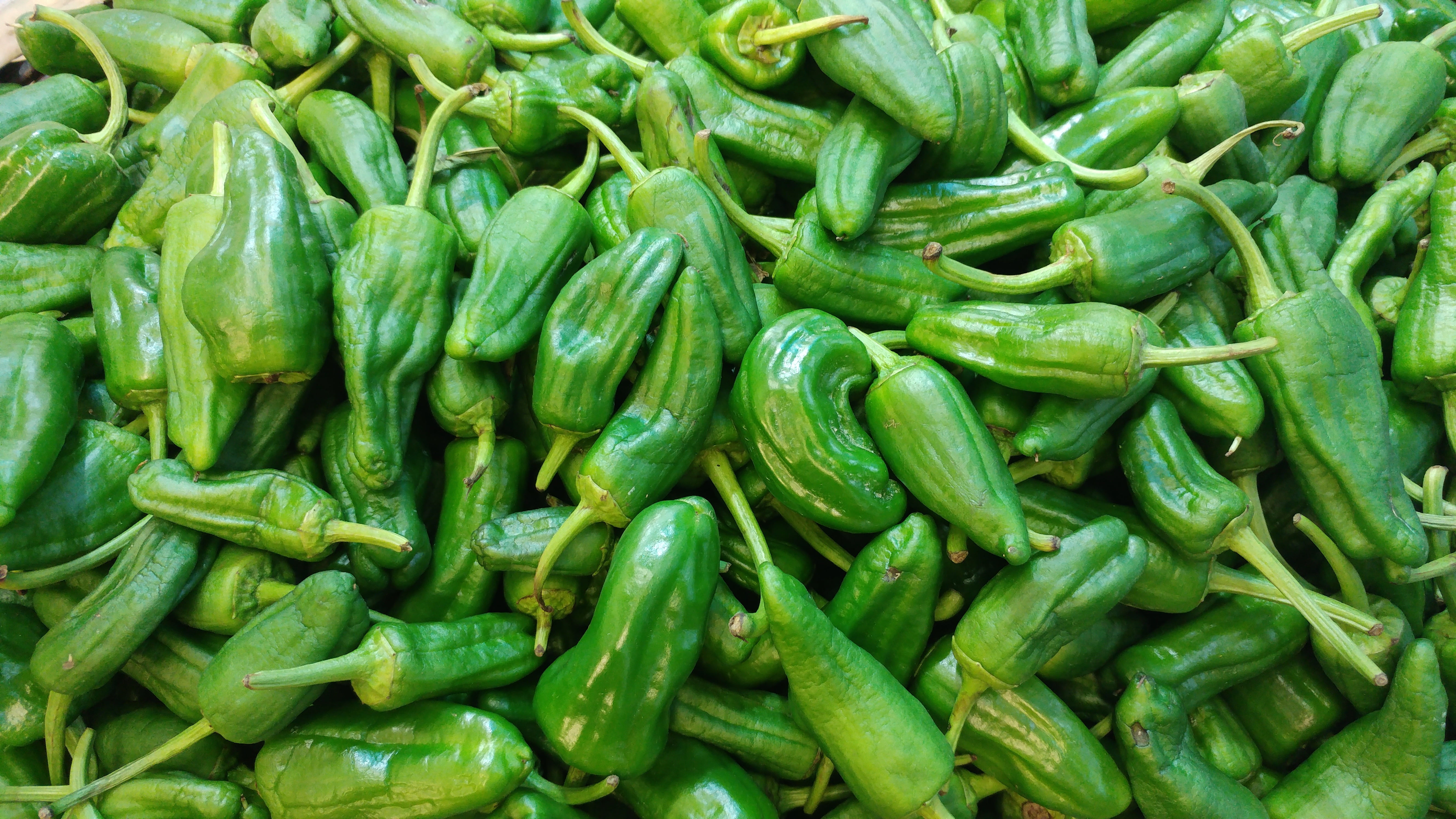 green color, organic, spanish, retail, day, 5K, vegetarian Food, healthy Eating, green, peppers, food, tapas, backgrounds, pepper, food and drink, market, HD Wallpaper