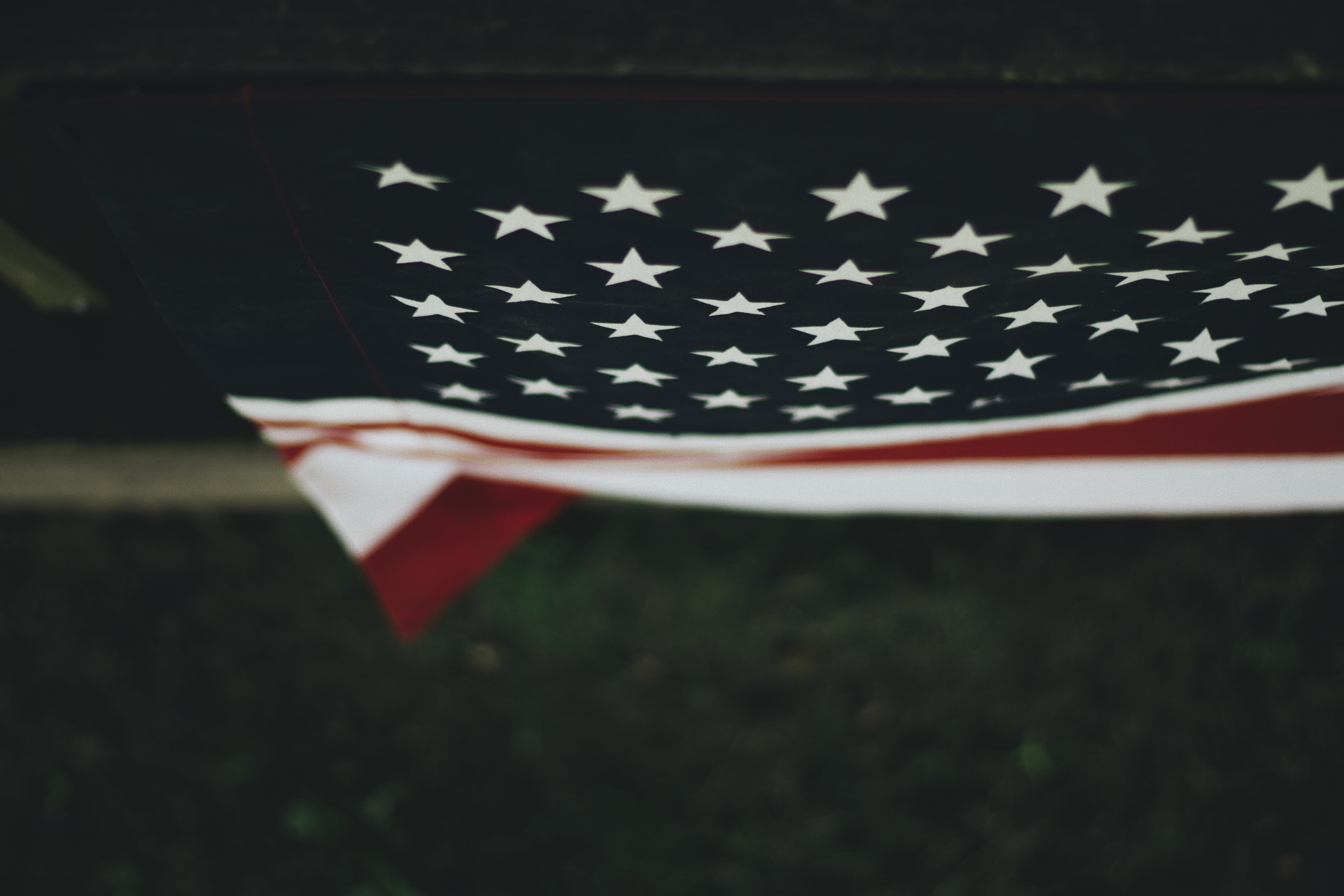 5K, summer, outdoors, july 4, striped, freedom, photography, american, desktop, fourth of july, independence day, nature, plant, no people, shallow, spring, HD Wallpaper