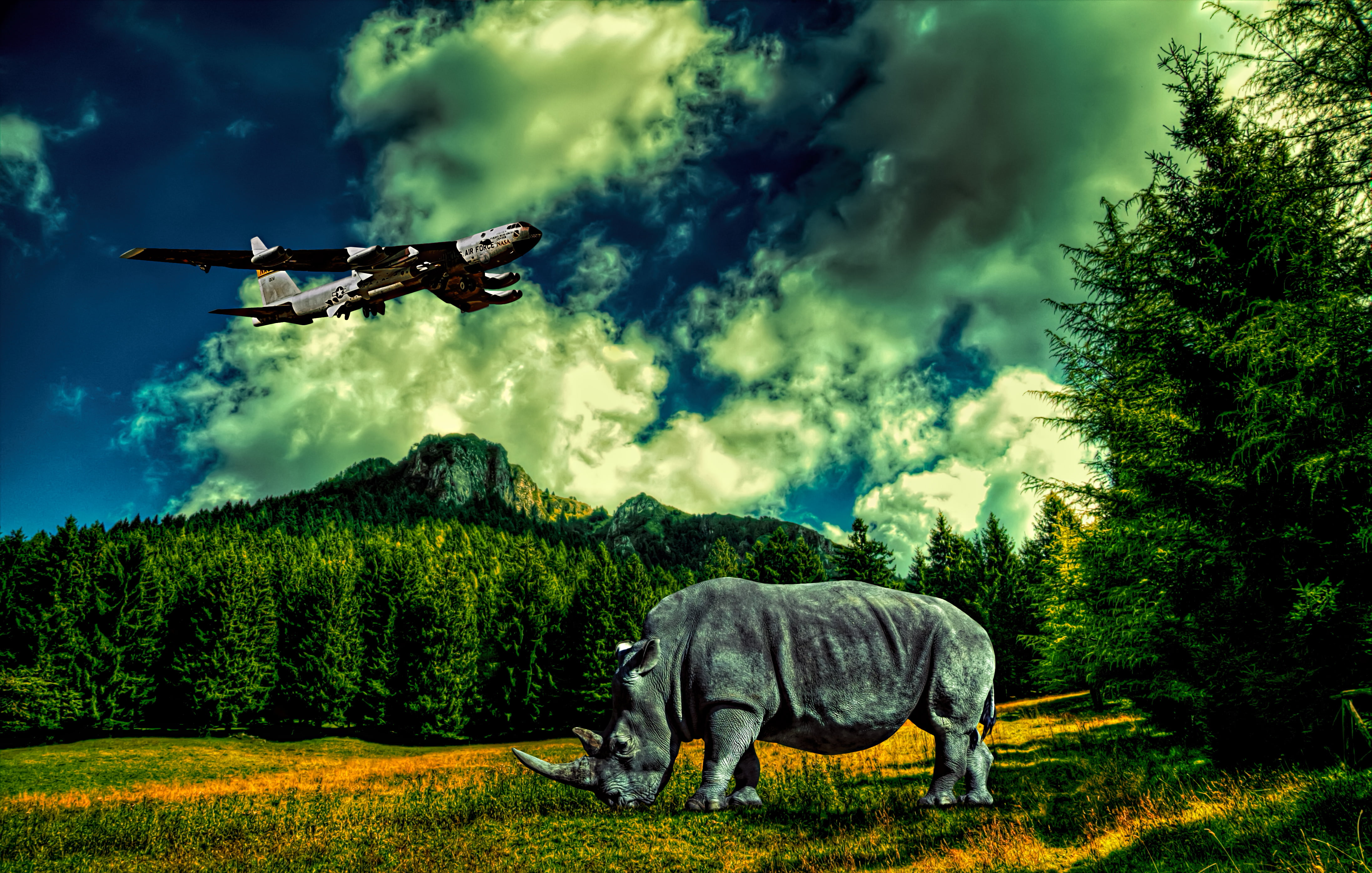 Dorga, strada, italia, italy, Marco, gray, 4K, green tree, tree, bergamo, surreal, green, landscape, HDR, photography, fantasy, near, Rhinoceros, lombardia, HD Wallpaper