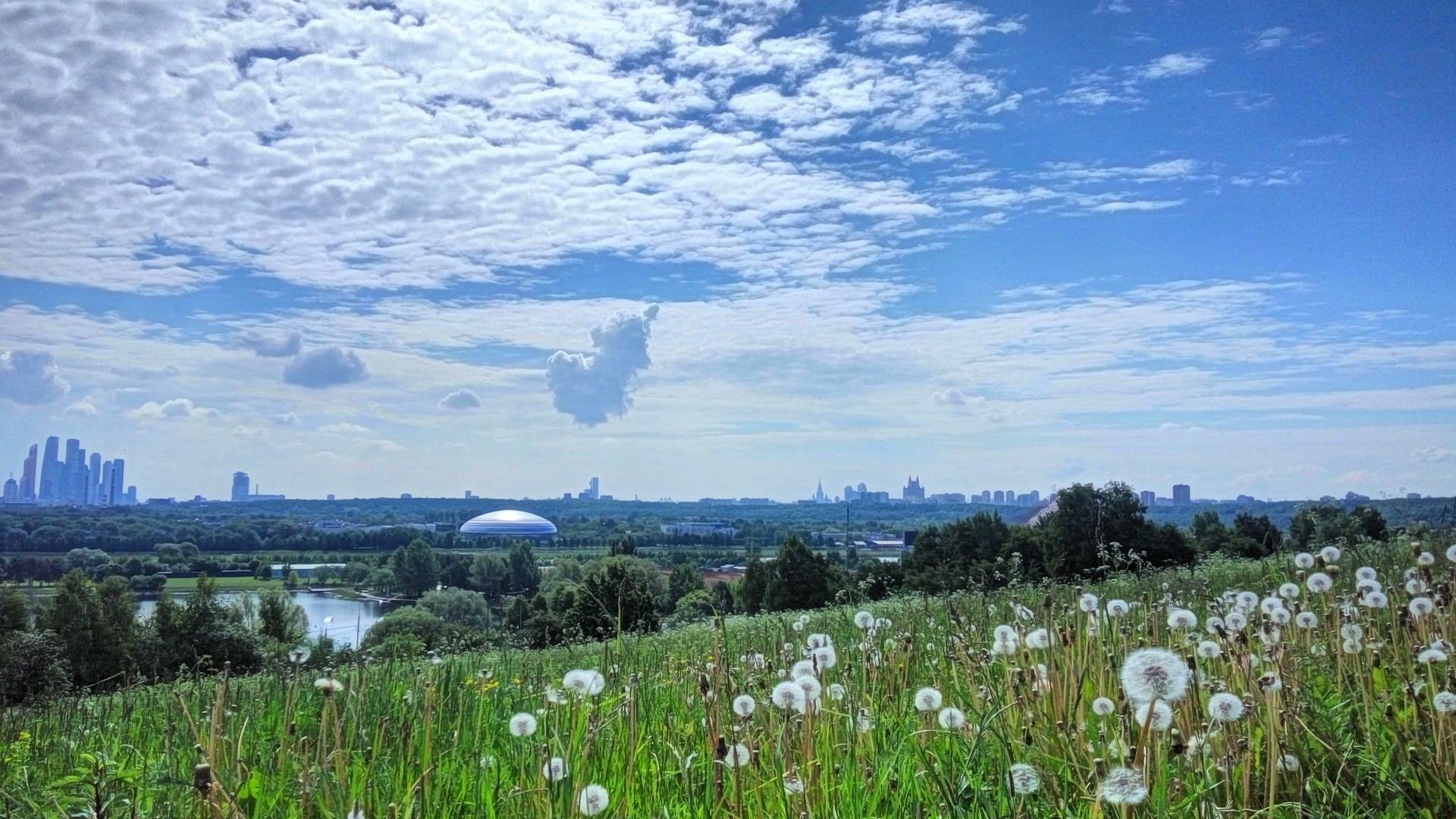 architecture, scenics - nature, land, plant, 1080P, dandelion, building exterior, tranquility, field, summer, tranquil scene, building, nature, skyscraper, HD Wallpaper
