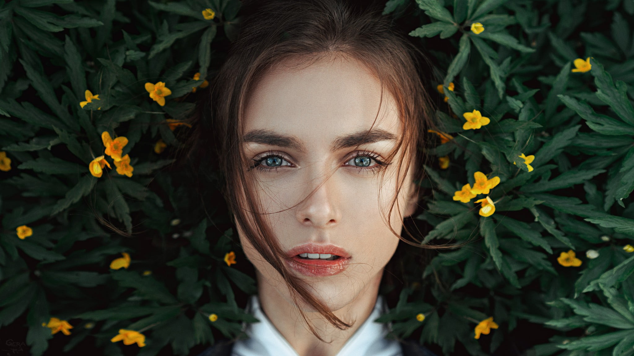 hair, hairstyle, looking at camera, Victoria Vishnevetskaya, beauty, women, leisure activity, face, adult, flowers, Viktoria Vishnevetskaya, young women, HD Wallpaper