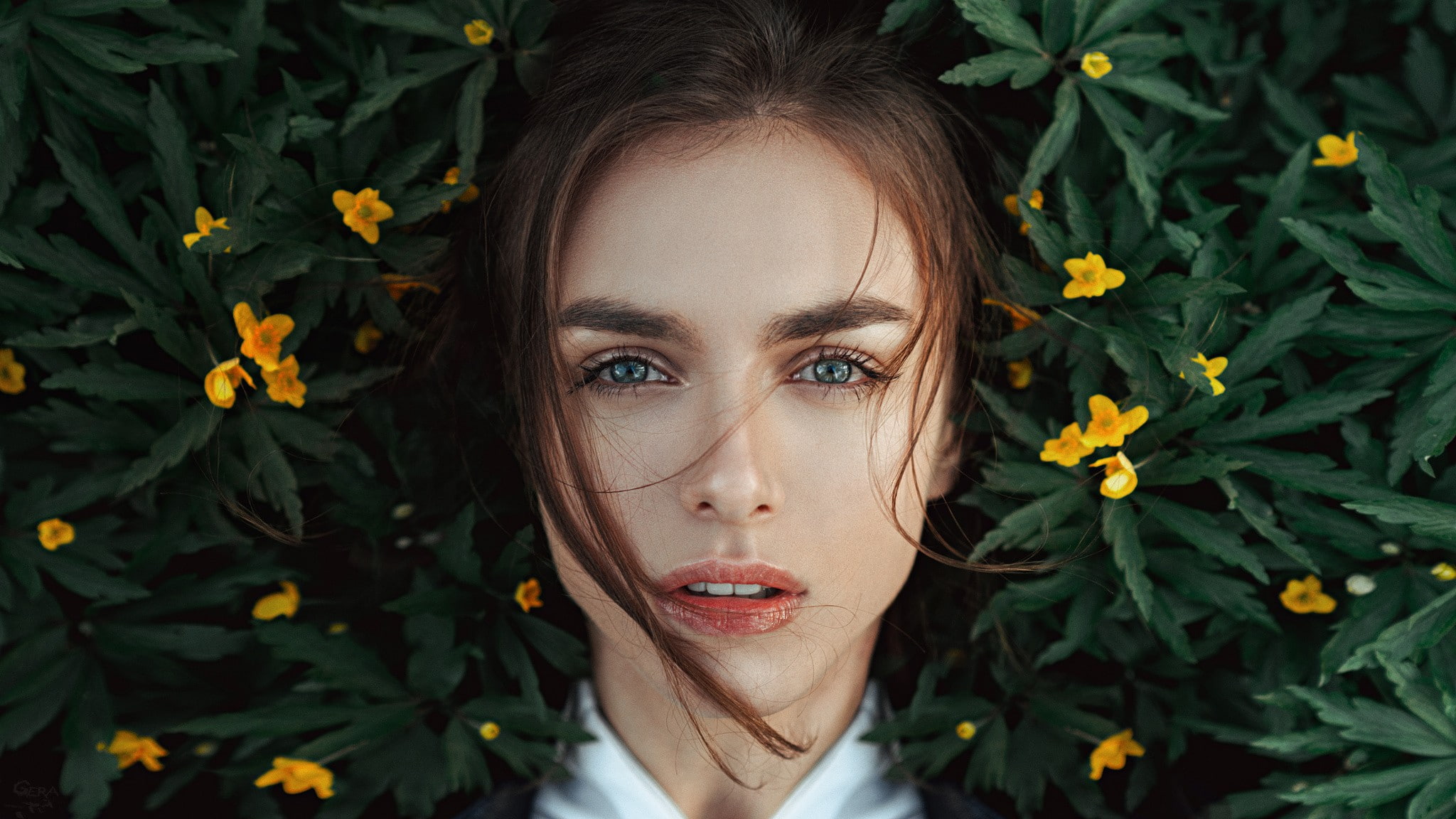 1080P, face, portrait, flowers, Victoria Vishnevetskaya, Viktoria Vishnevetskaya, women, HD Wallpaper