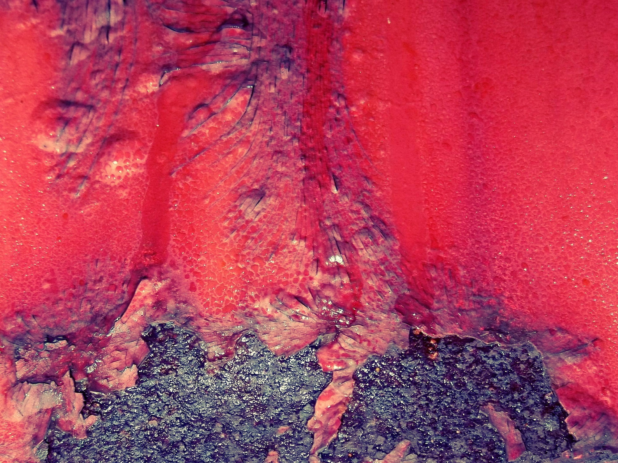 day, beauty in nature, old, land, rash, 1080P, trunk, background, heat - temperature, outdoors, tree trunk, plant, nature, red, paint, environmental issues, HD Wallpaper