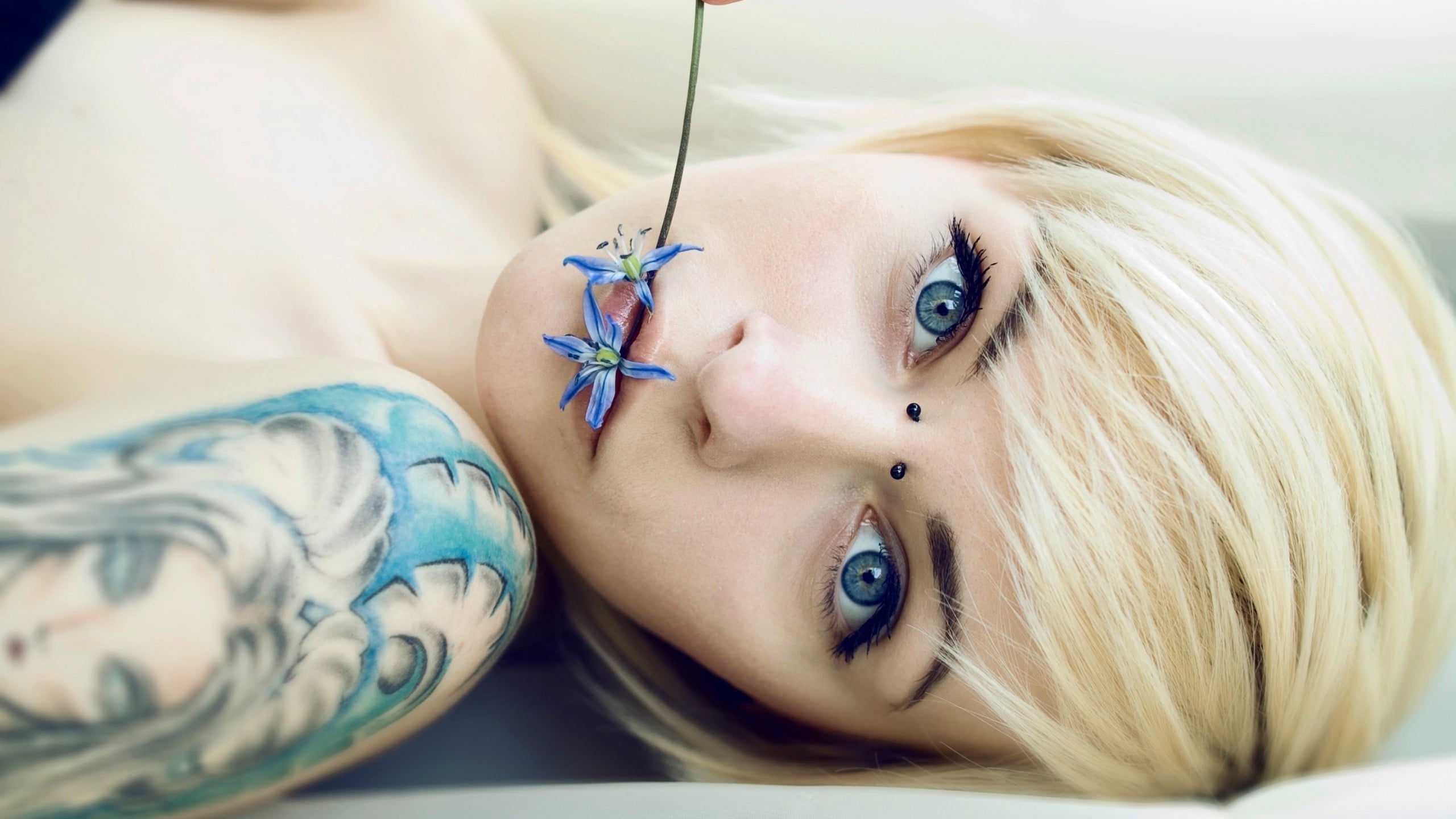 indoors, young adult, piercing, beauty, blonde, dyed hair, adult, 2K, tattoo, headshot, black, human face, fashion, one person, looking at camera, contemplation, HD Wallpaper