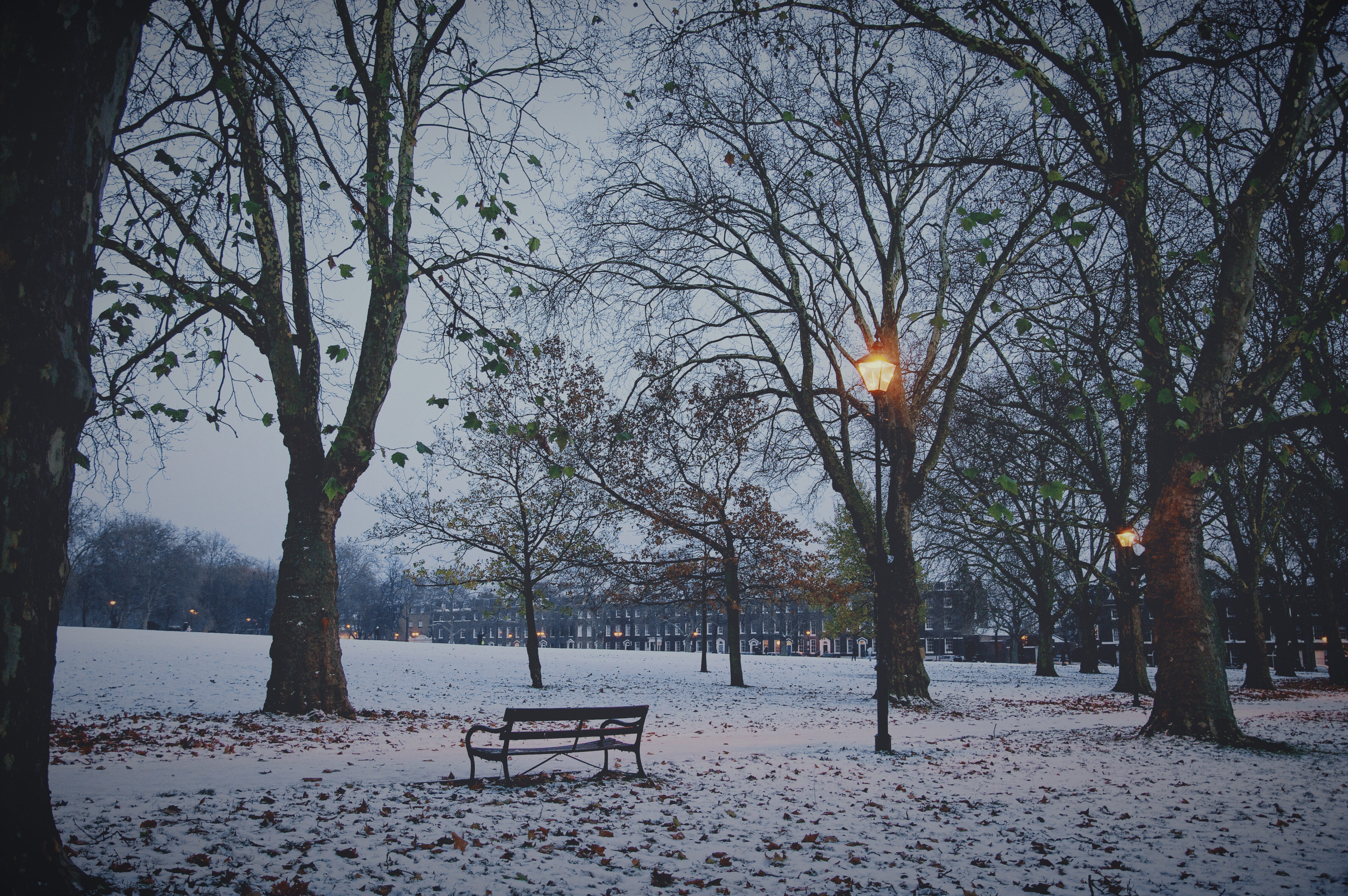 bench, tree trunk, land, nature, street lamp, beauty in nature, highbury fields, outdoors, seat, snow, tree, dusk, park, london, absence, tranquility, united kingdom, HD Wallpaper