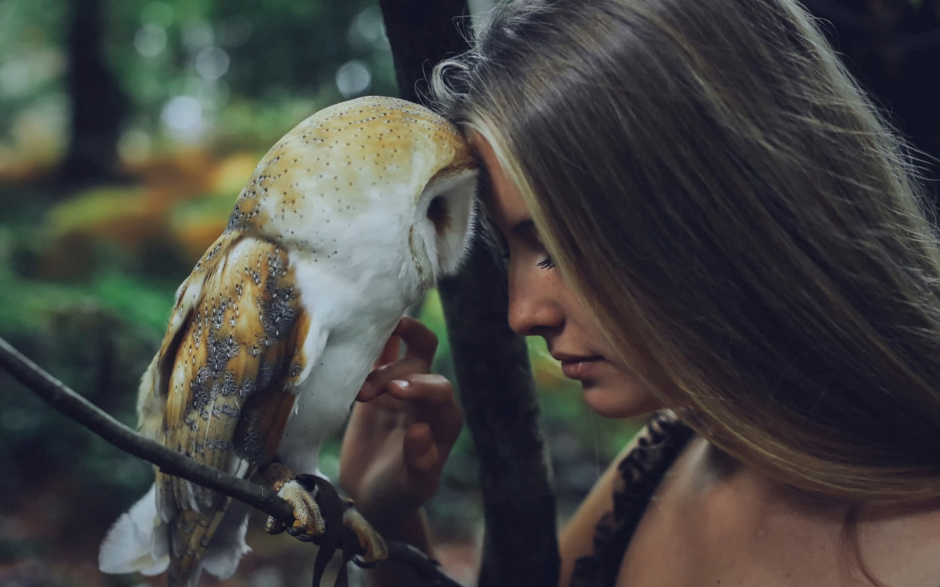 1080P, animals, birds, auburn hair, women, Camille Rochette, owl, HD Wallpaper