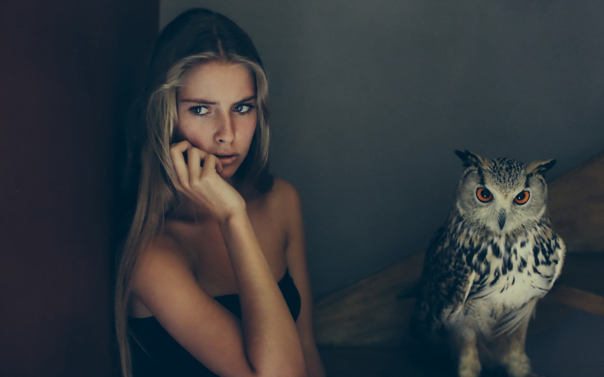 owl, women, birds, Camille Rochette, 1080P, strapless dress, animals, HD Wallpaper