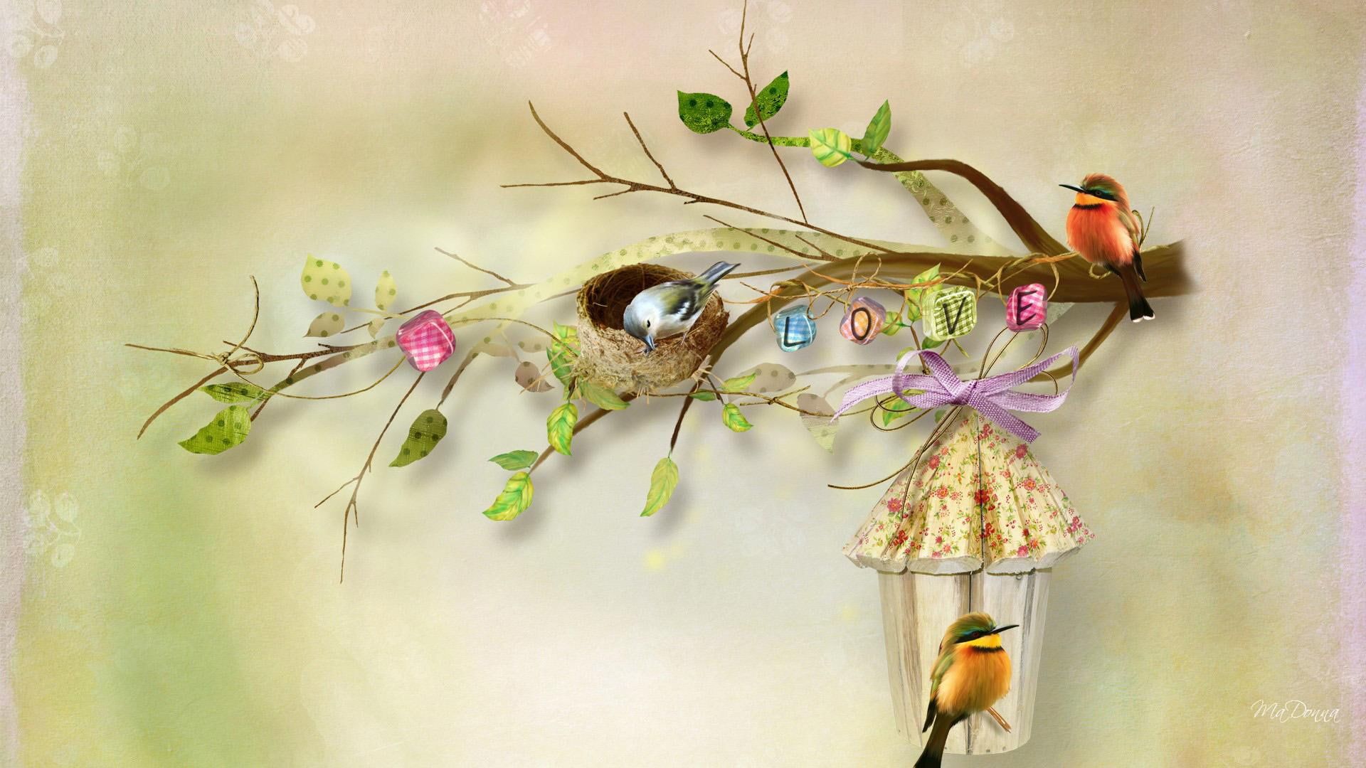 flowers, birds, summer, spring, 1080P, love, nest, leaves, joy, animals, HD Wallpaper