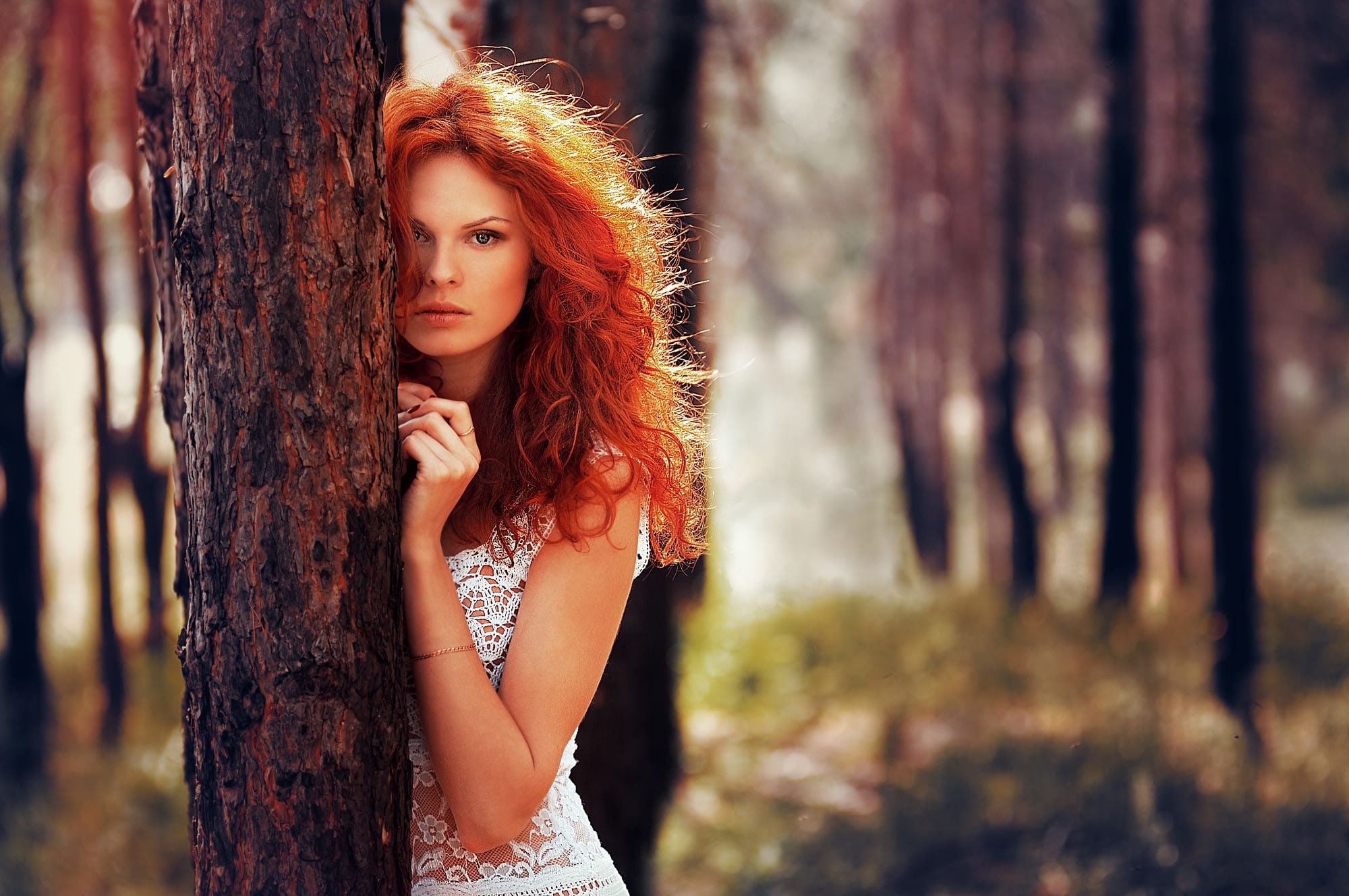 outdoors, looking at camera, model, young adult, trunk, tree trunk, hairstyle, portrait, trees, young women, white dress, forest, contemplation, see-through clothing, HD Wallpaper